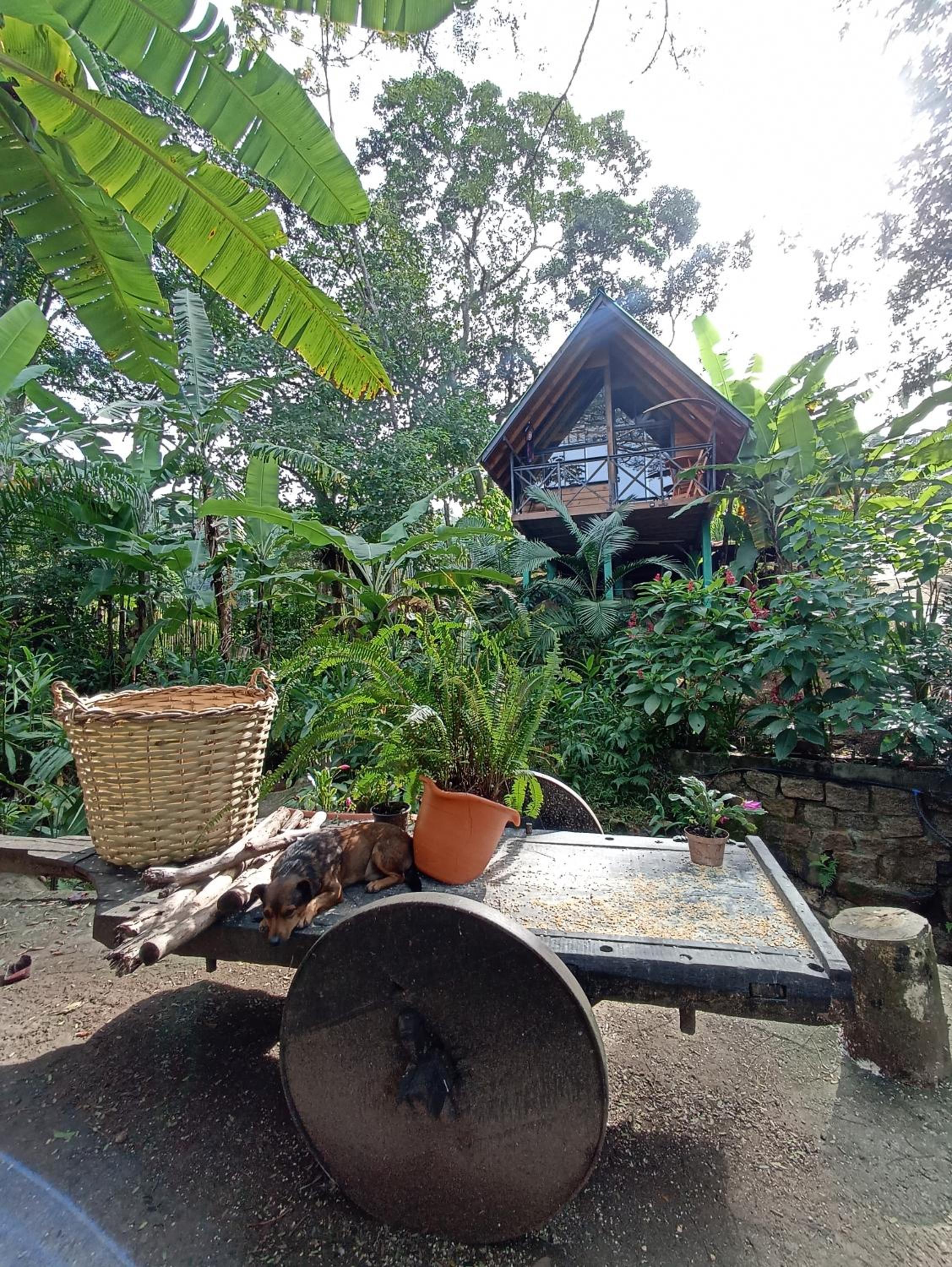 Cabana com Cachoeira Privativa