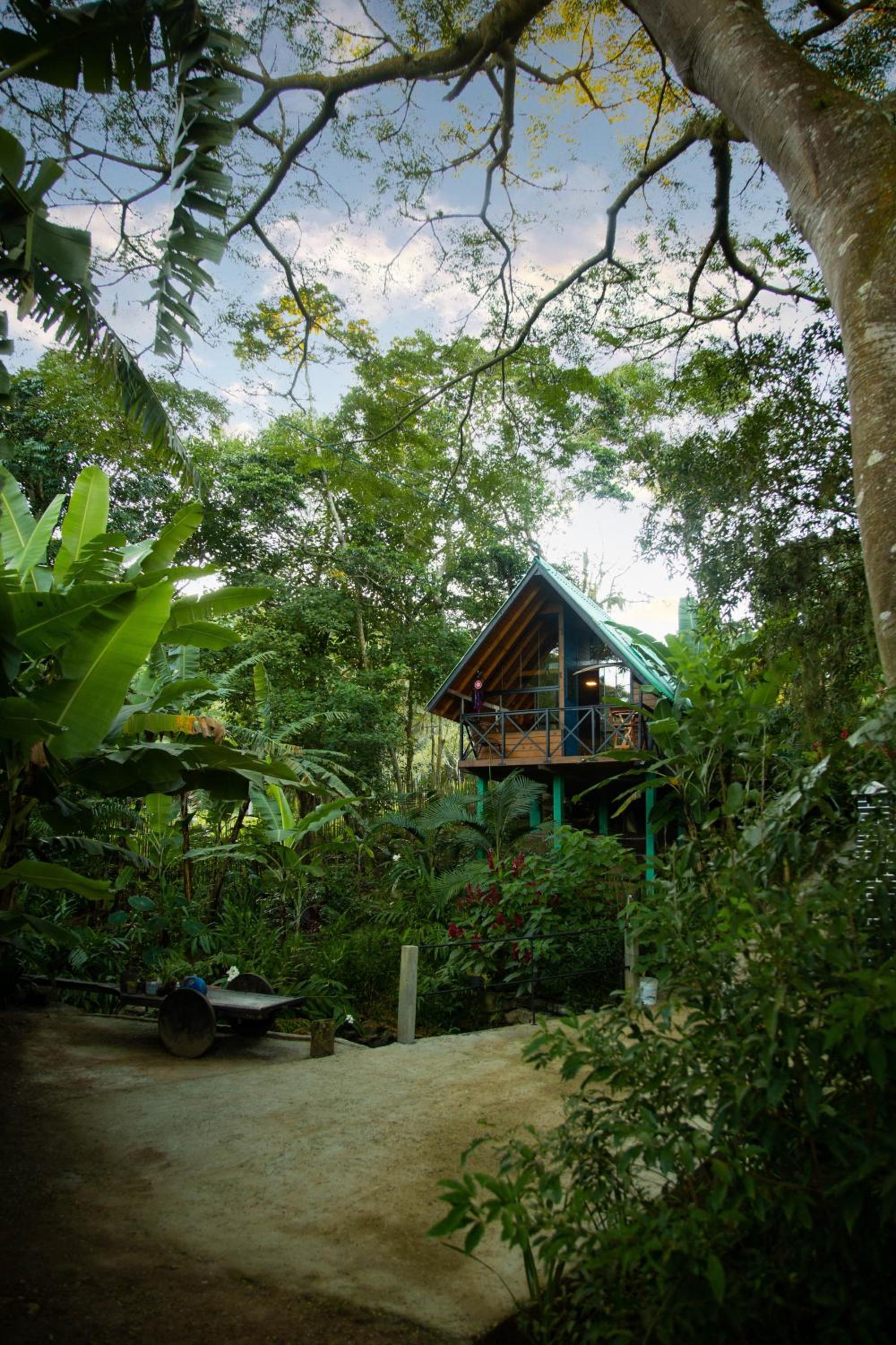 Cabana com Cachoeira Privativa
