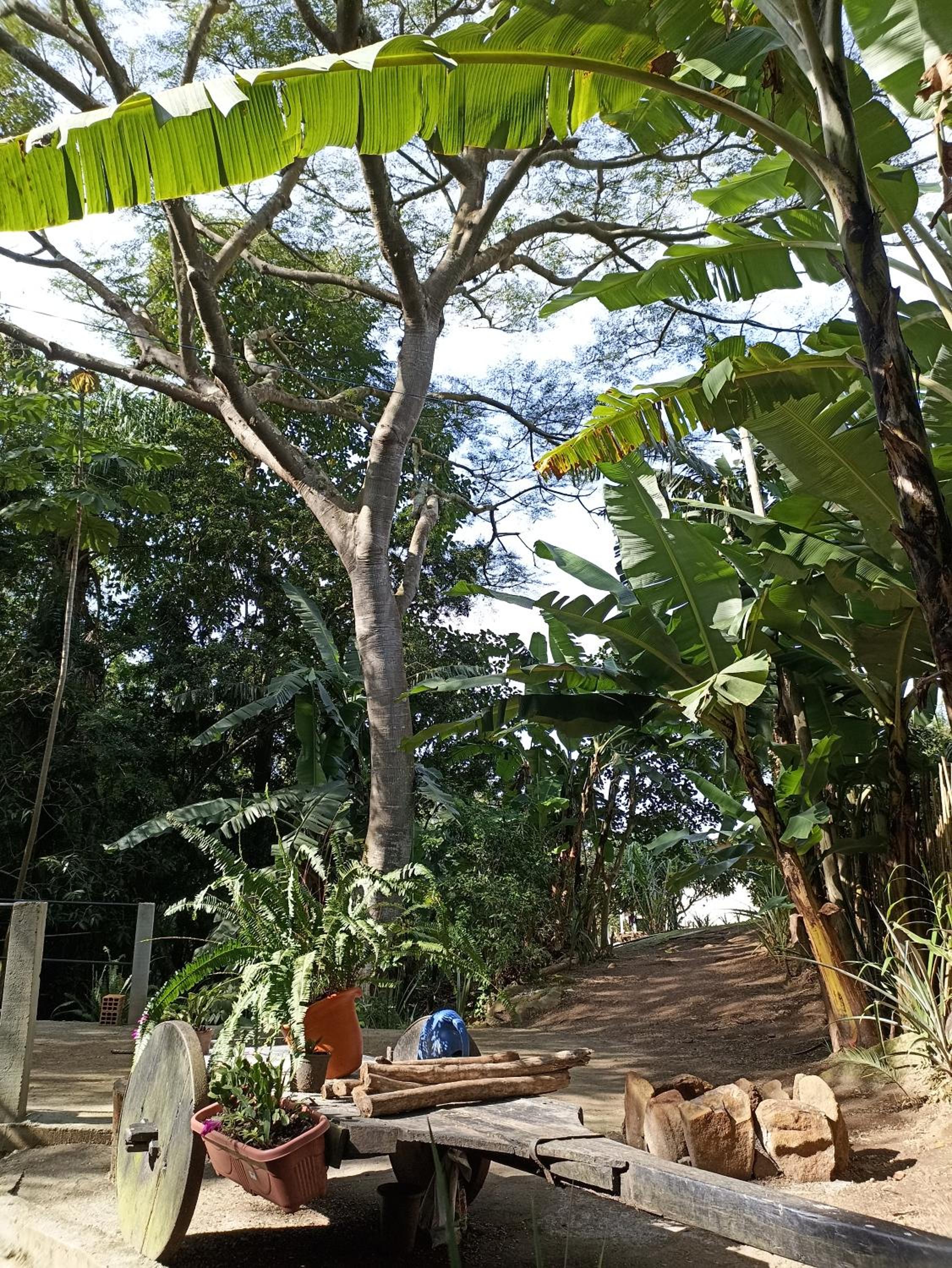 Cabana com Cachoeira Privativa