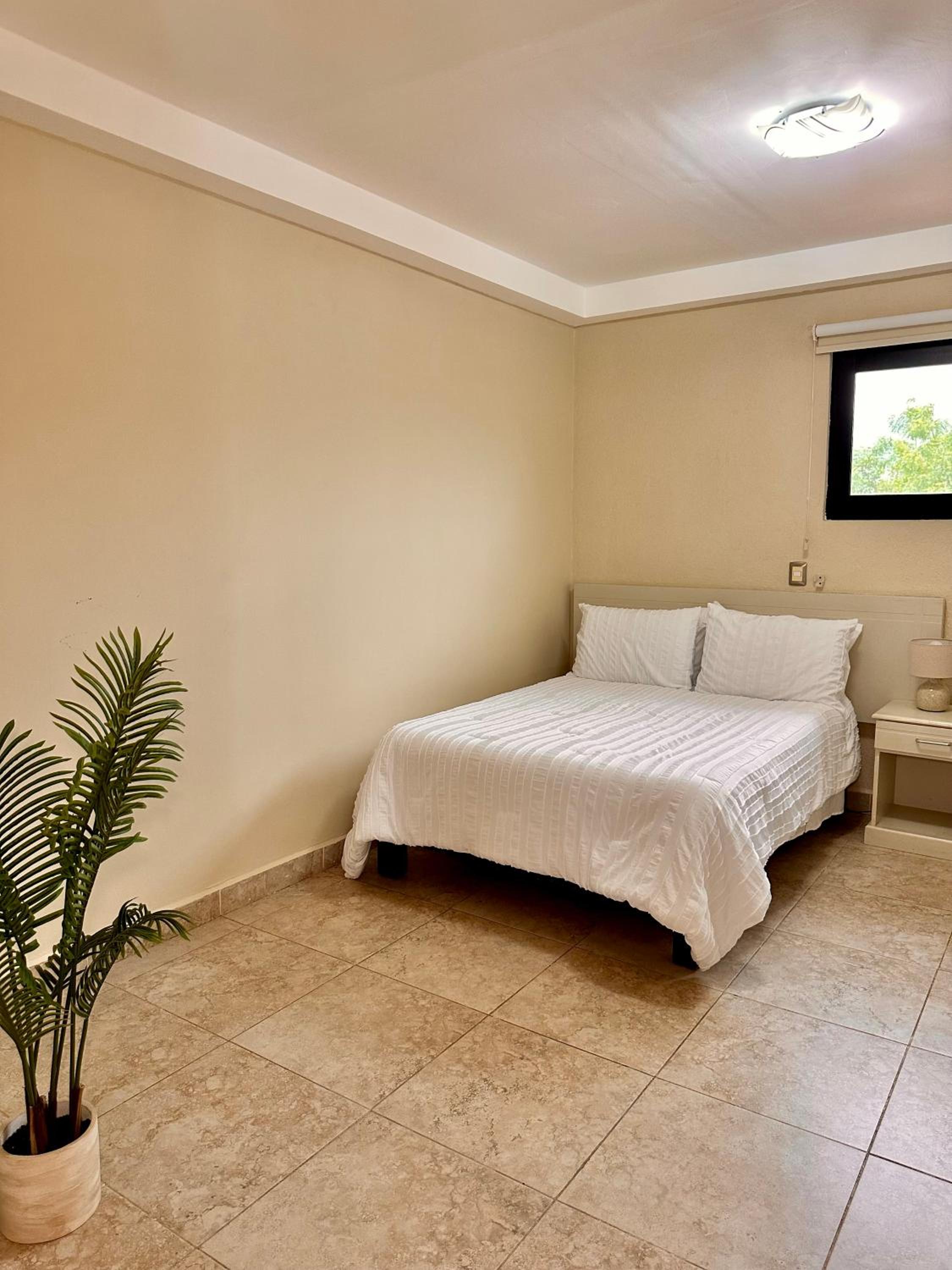 Departamento en el centro de Apatzingán view 4