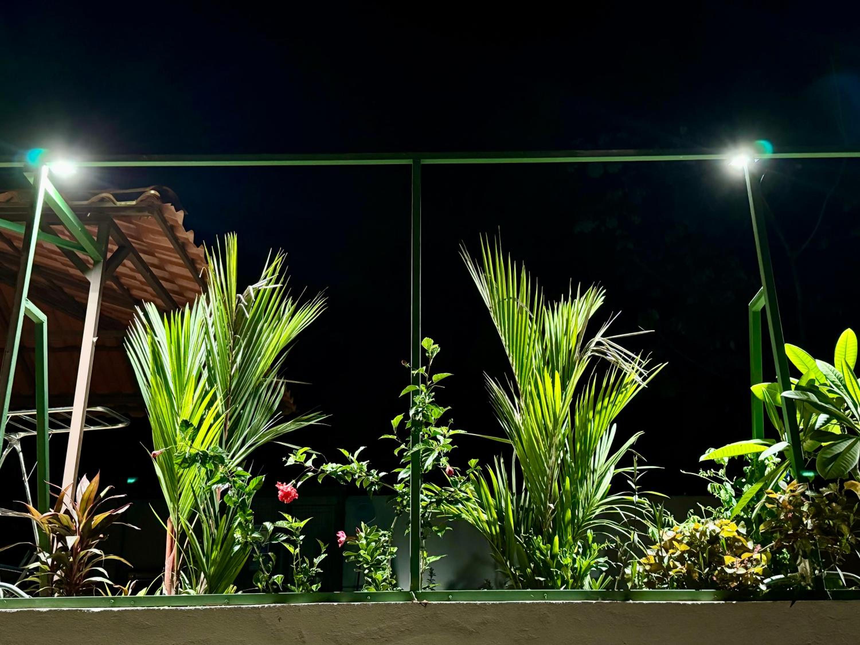 Jungle Glory Home Arriba