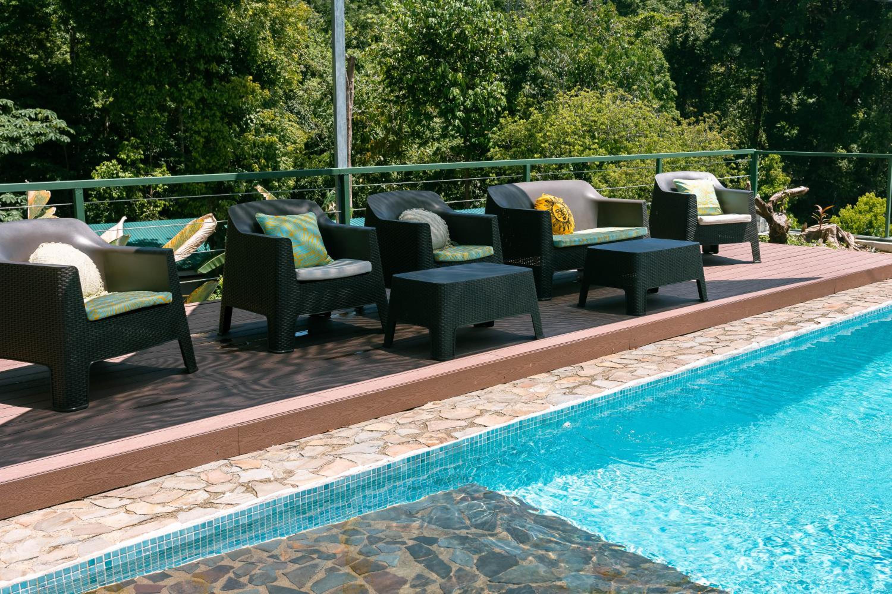 Jungle Glory Home Arriba