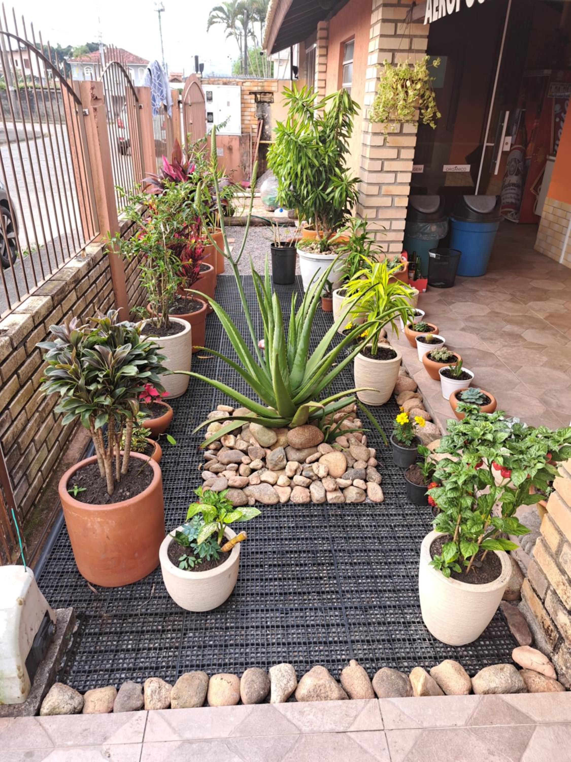 Photo 39