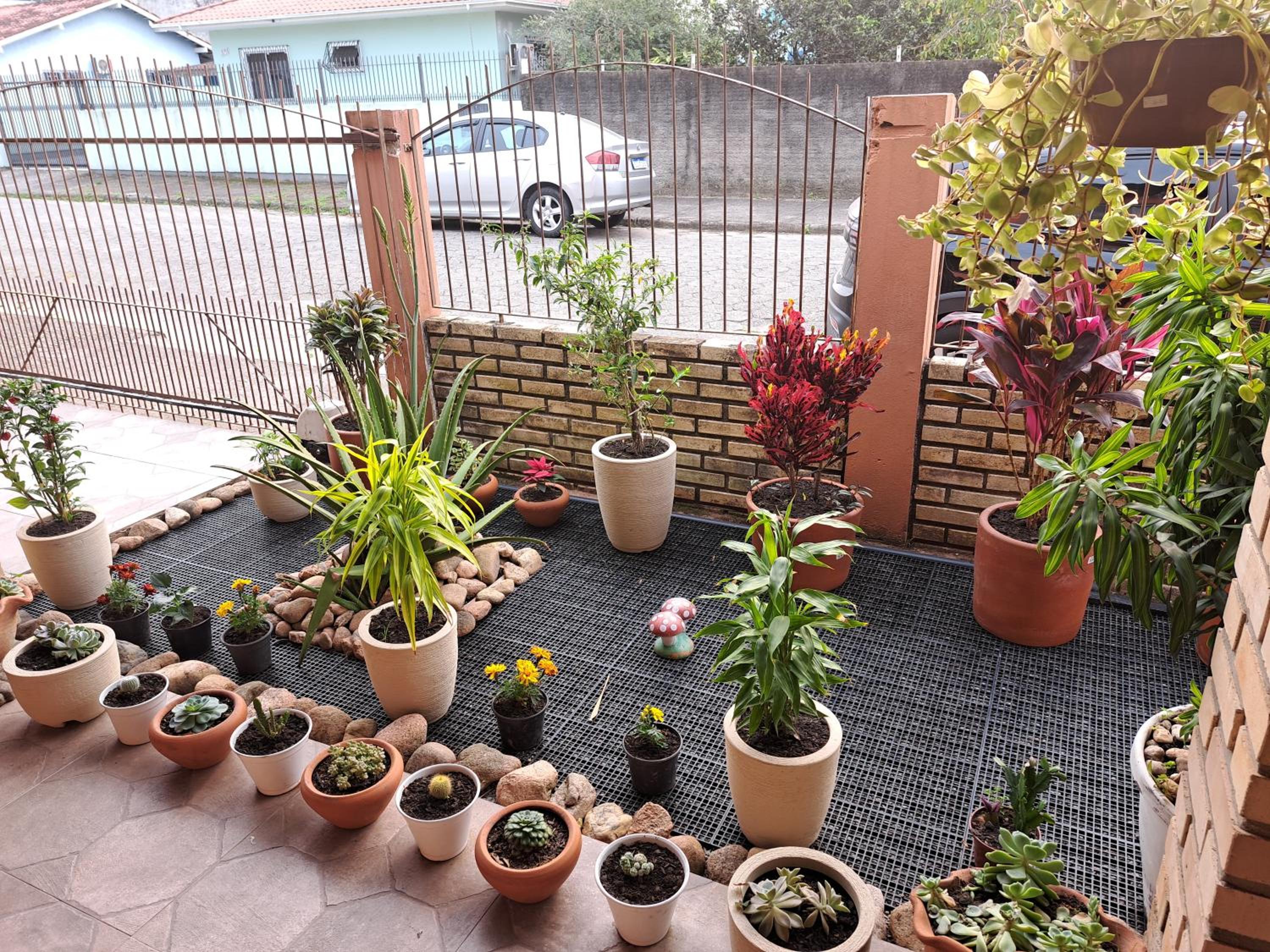 Photo 41