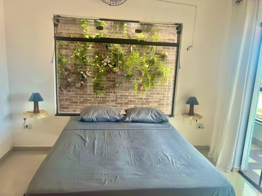 Casa solário Josedy