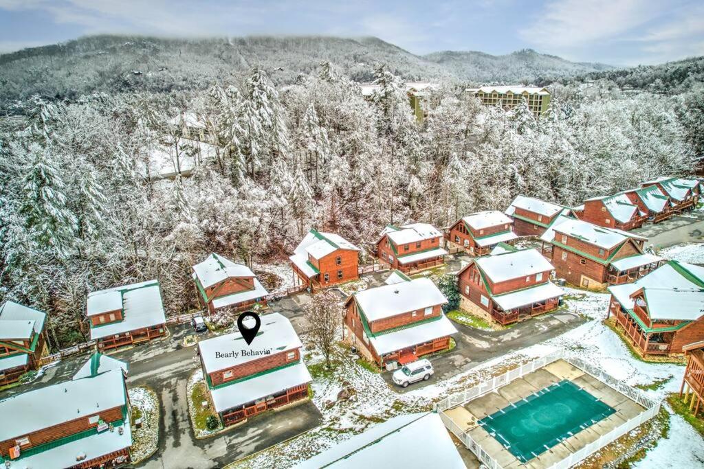 Hotel Bearly Behavin