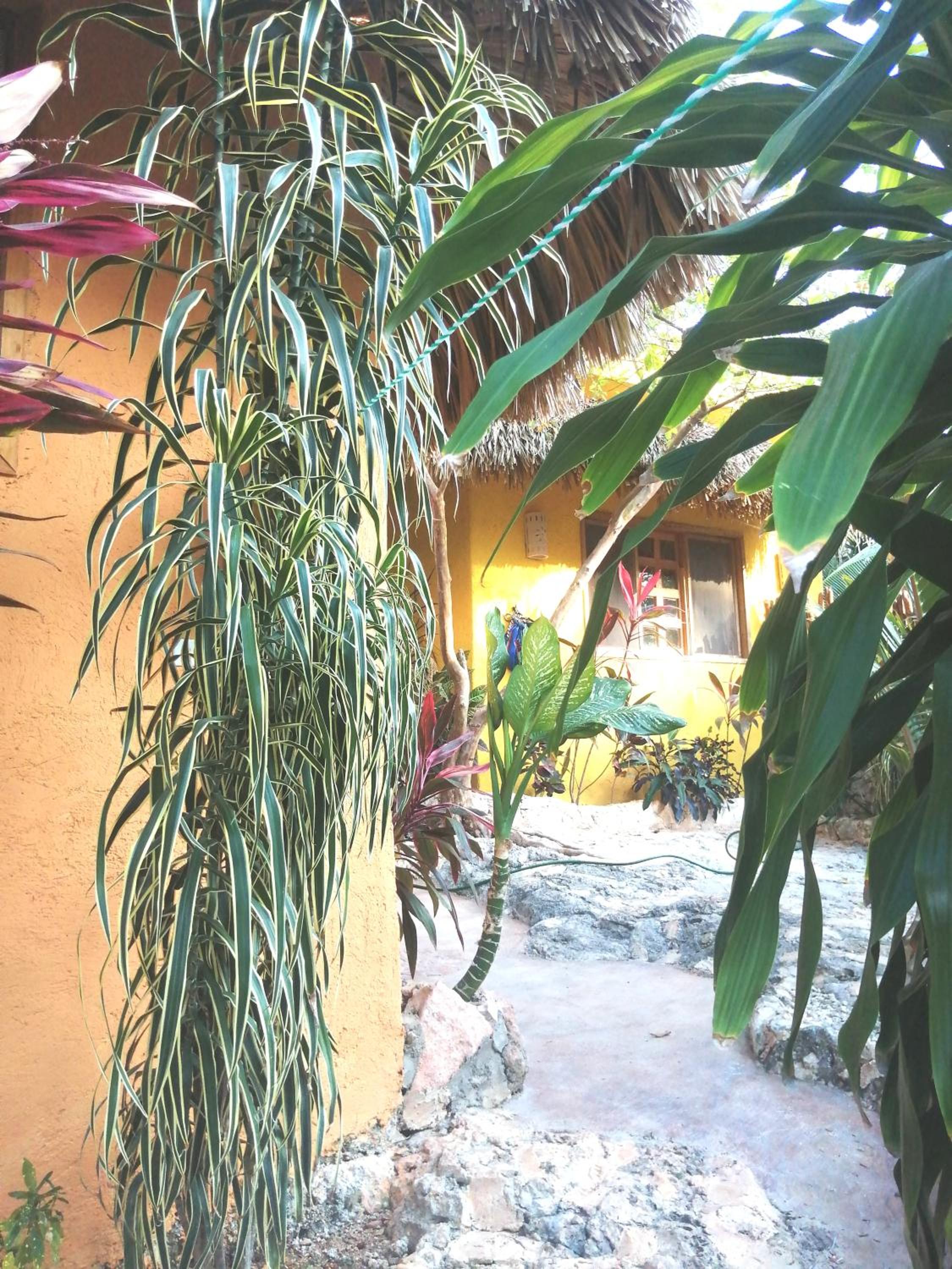 Photo 21