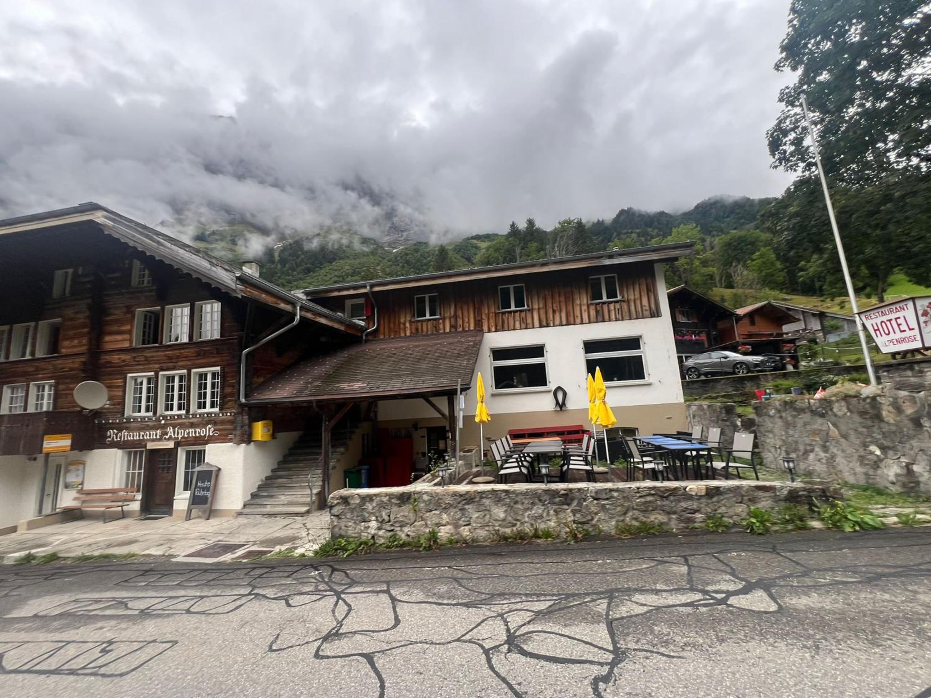 Gadmen Alpenrose, Switzerland