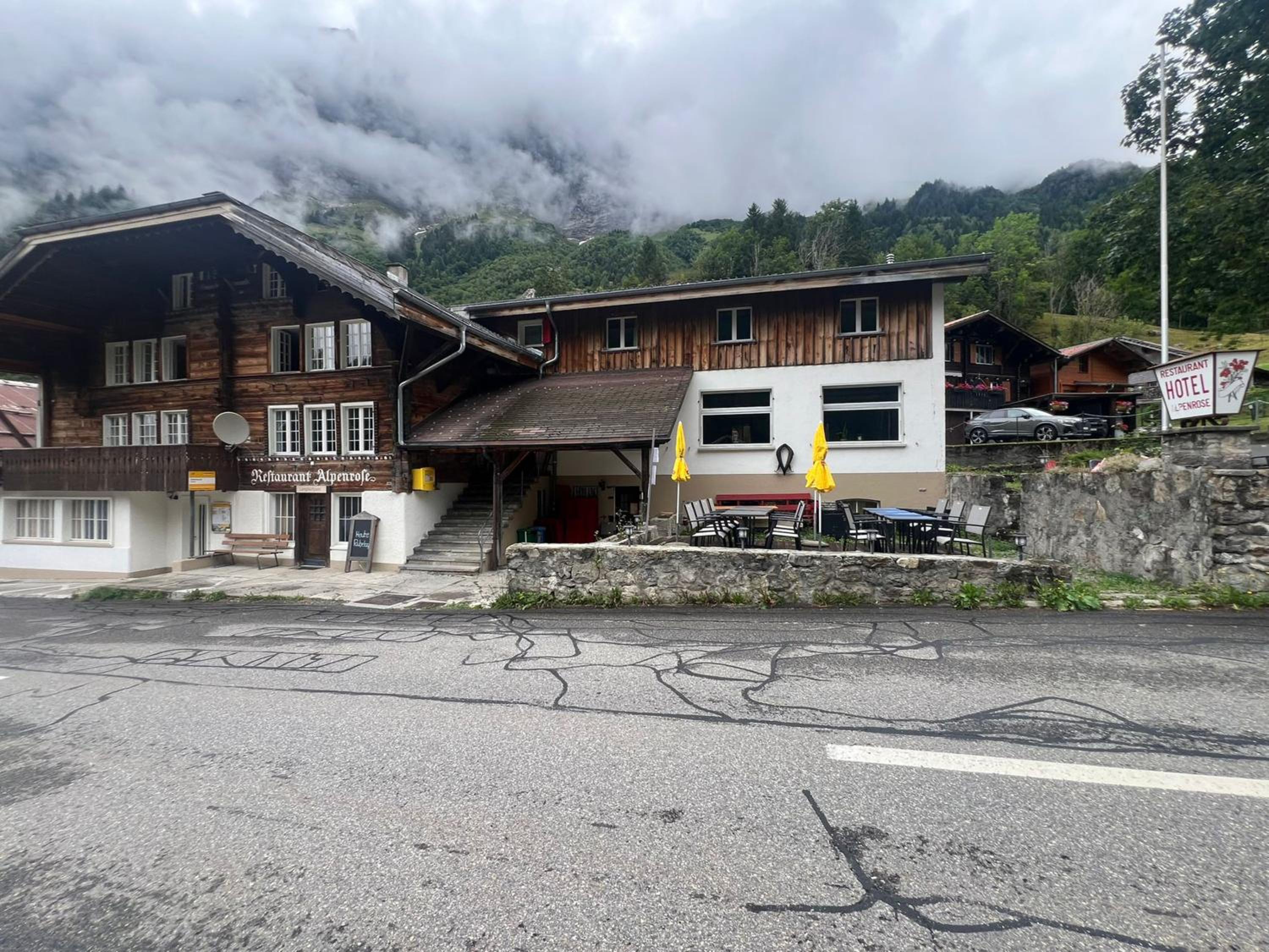 Gadmen Alpenrose, Switzerland