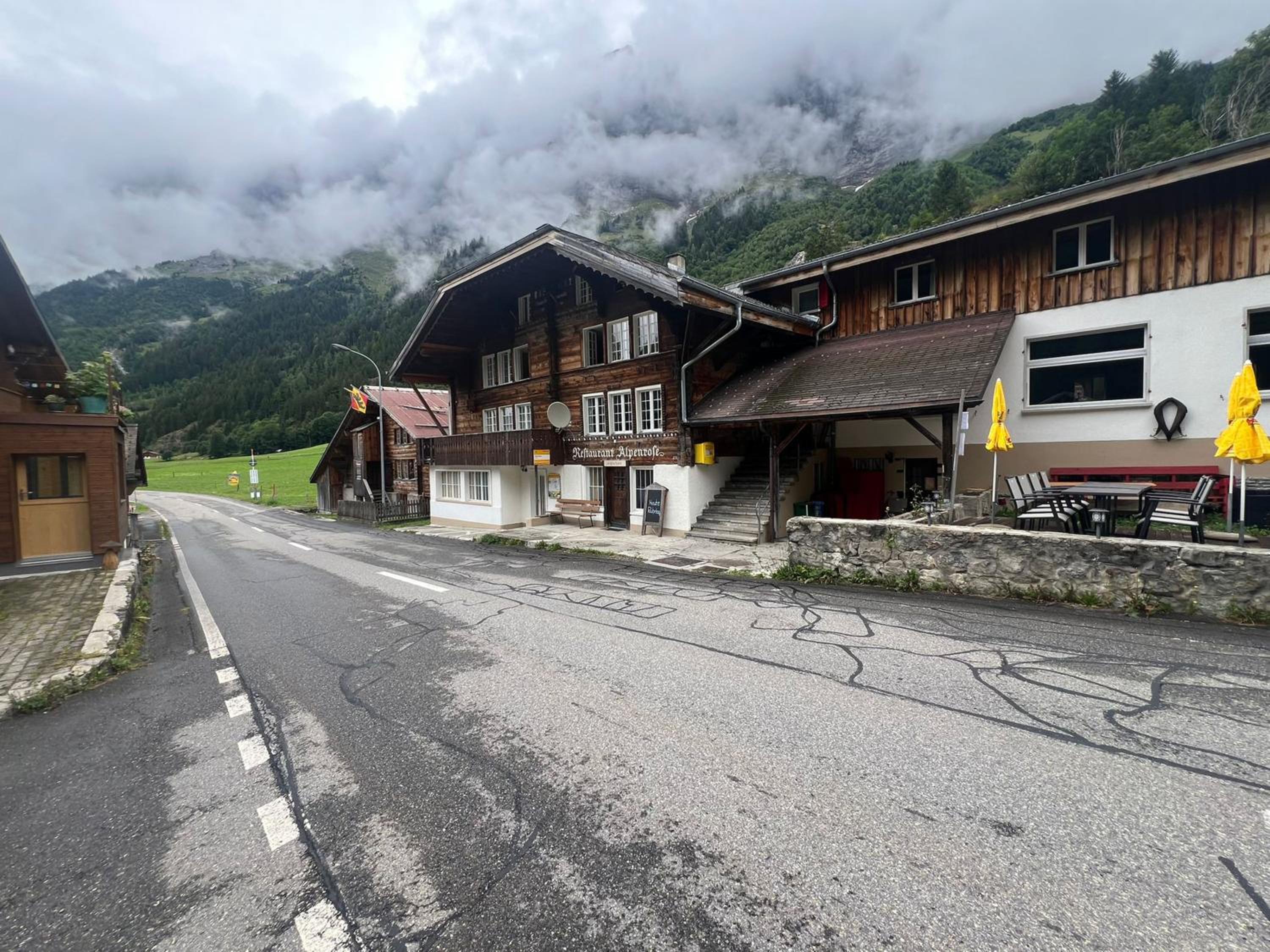 Gadmen Alpenrose, Switzerland