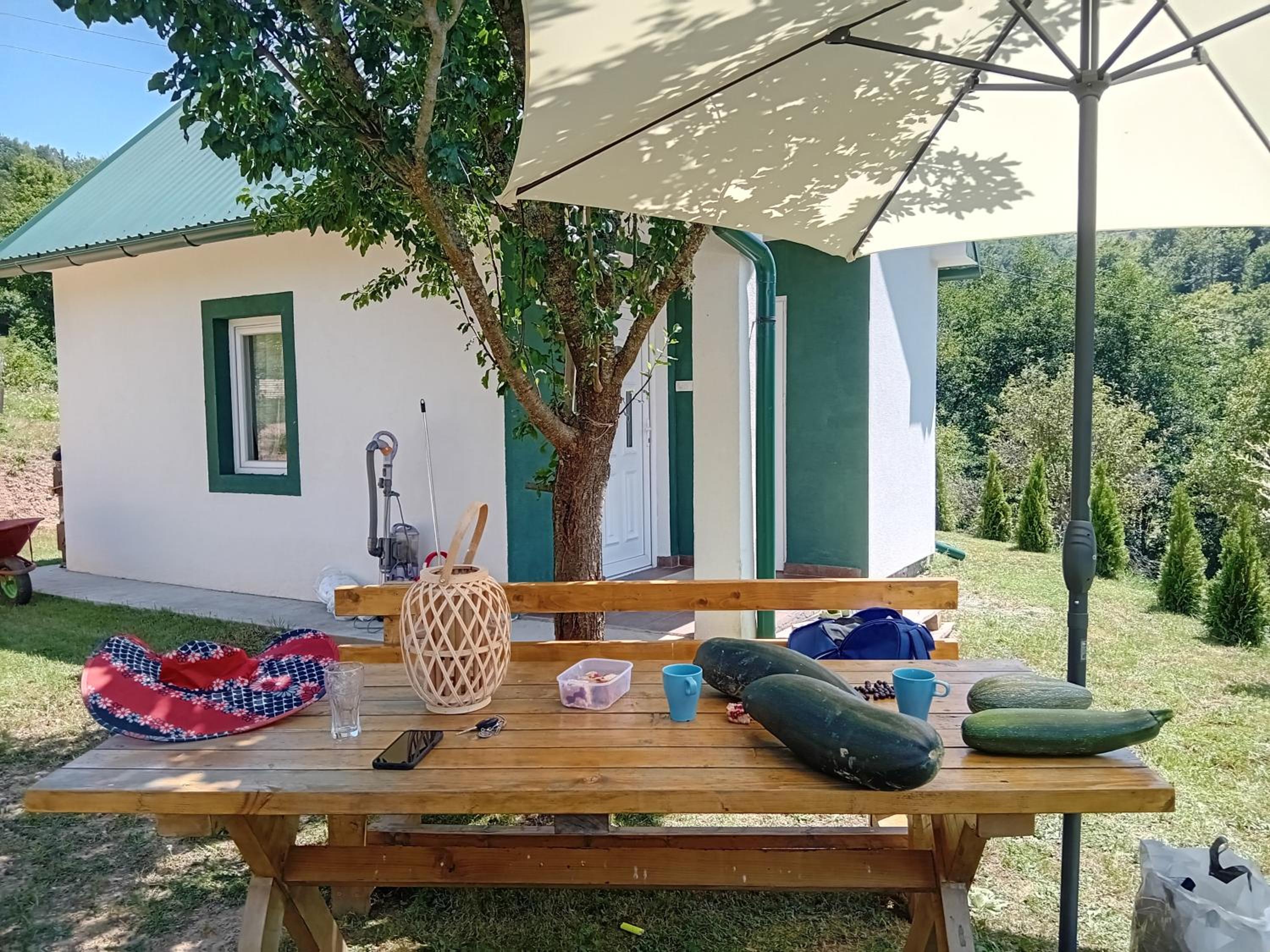 Zelena livada (Green Meadow)