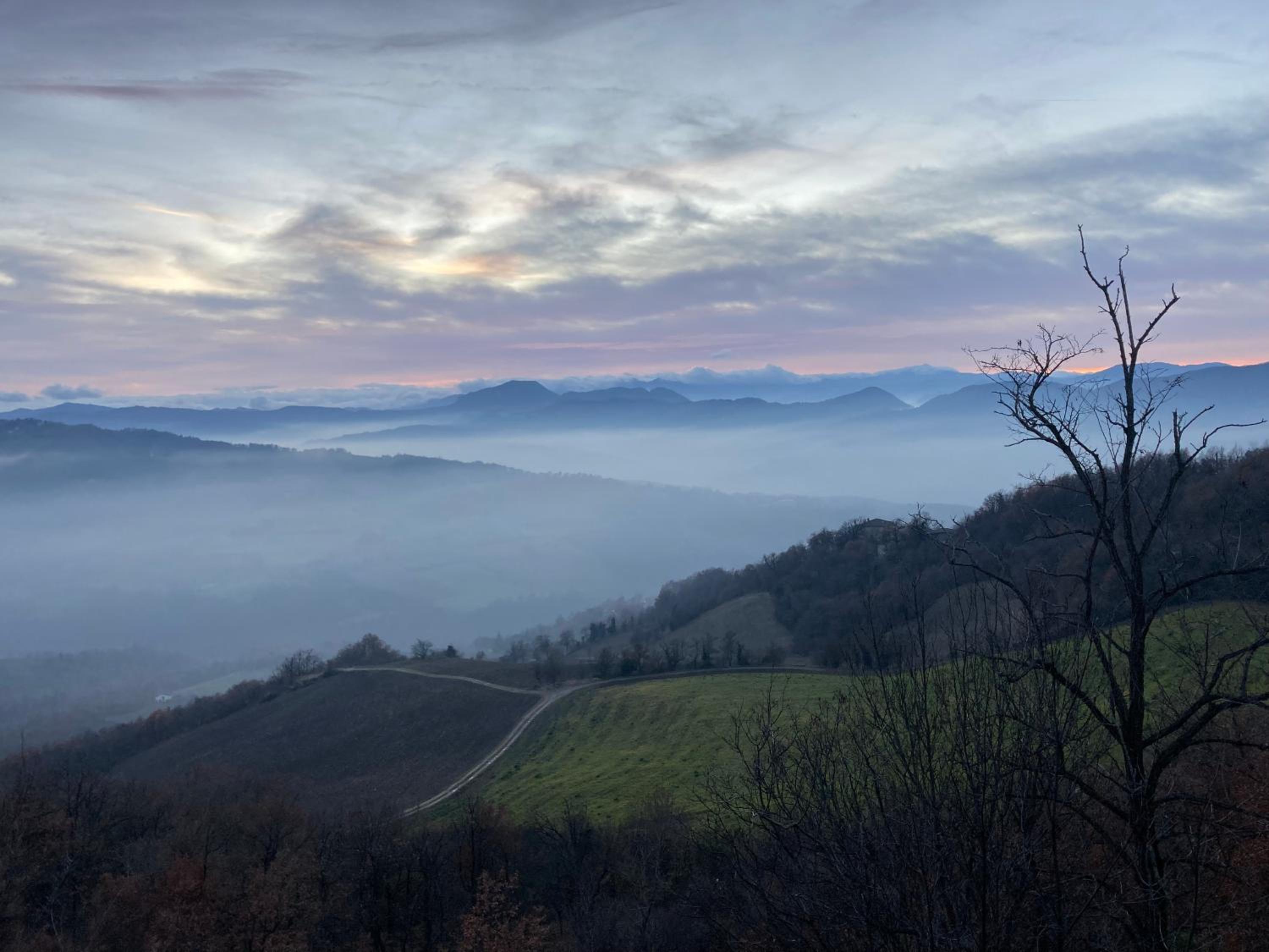Oasi Acquafresca