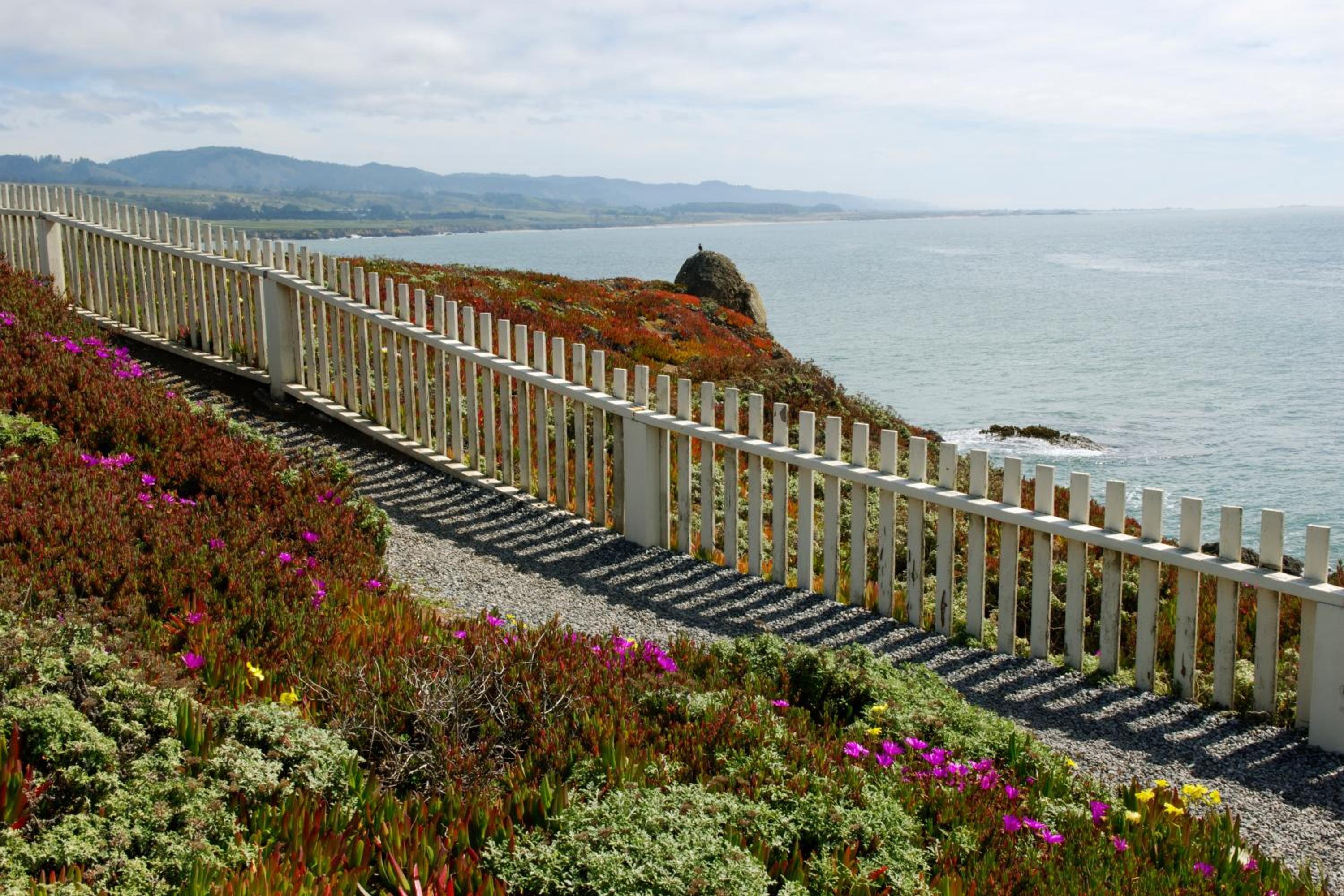 HI Pigeon Point Lighthouse Hostel view 4