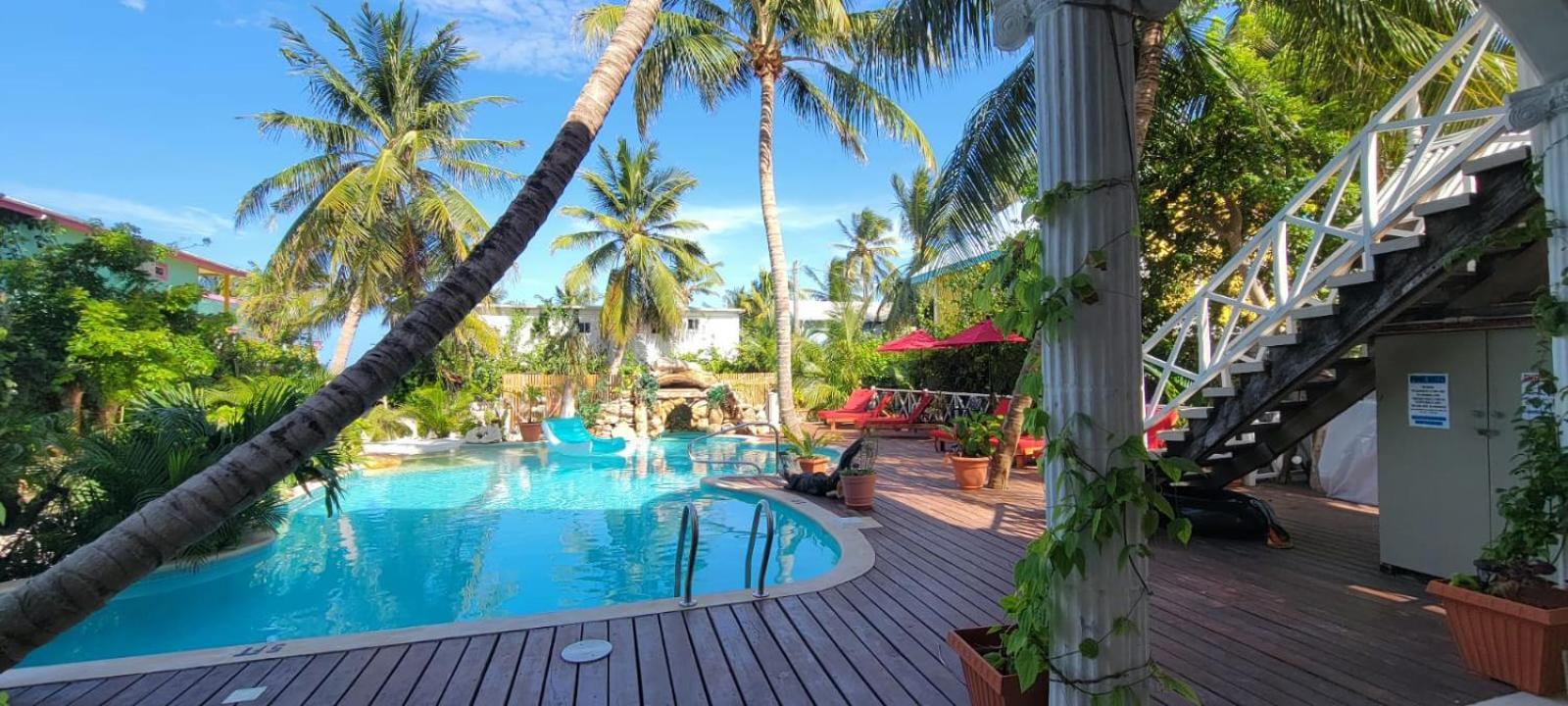 Caye Caulker Boutique Guesthouse 2
