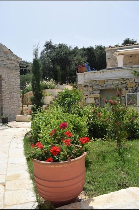 Villa Natura