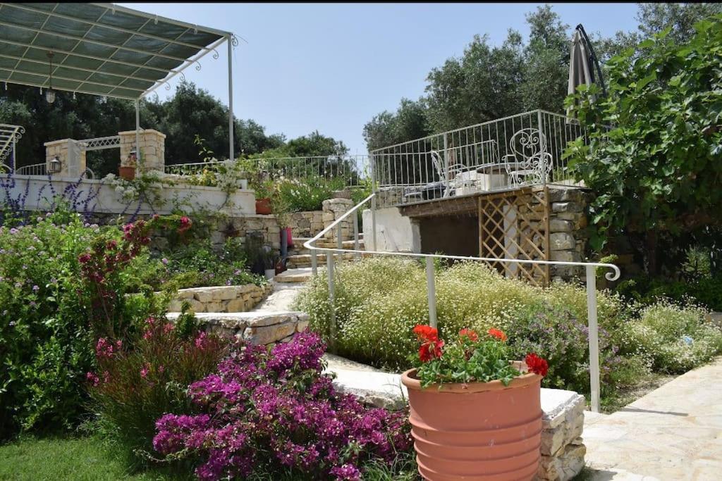 Villa Natura