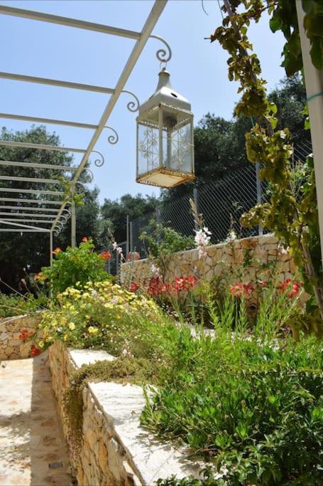 Villa Natura