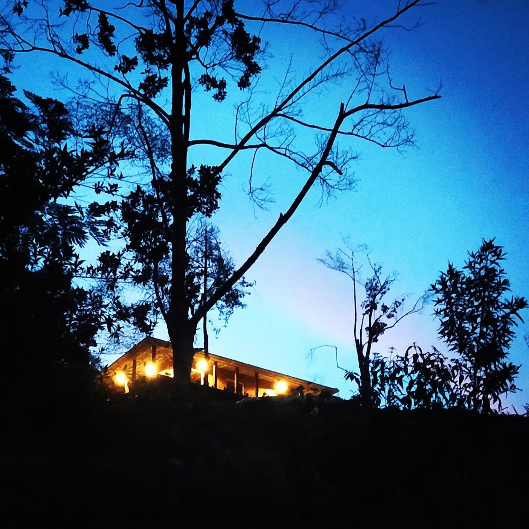 Bosque Místico