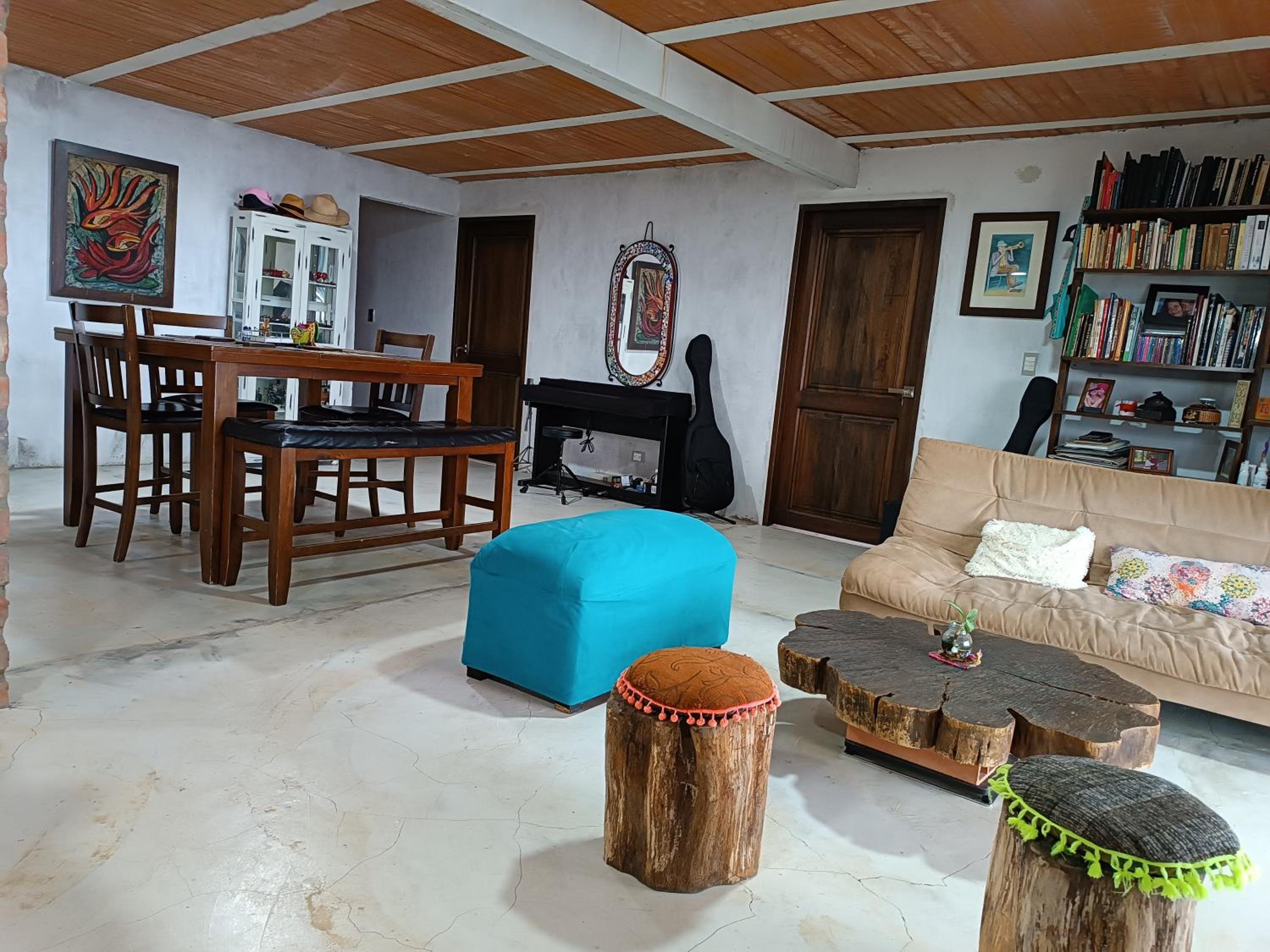 Bosque Místico
