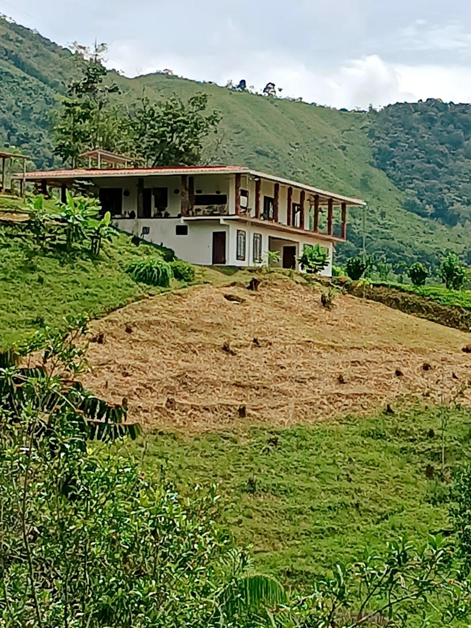 Bosque Místico