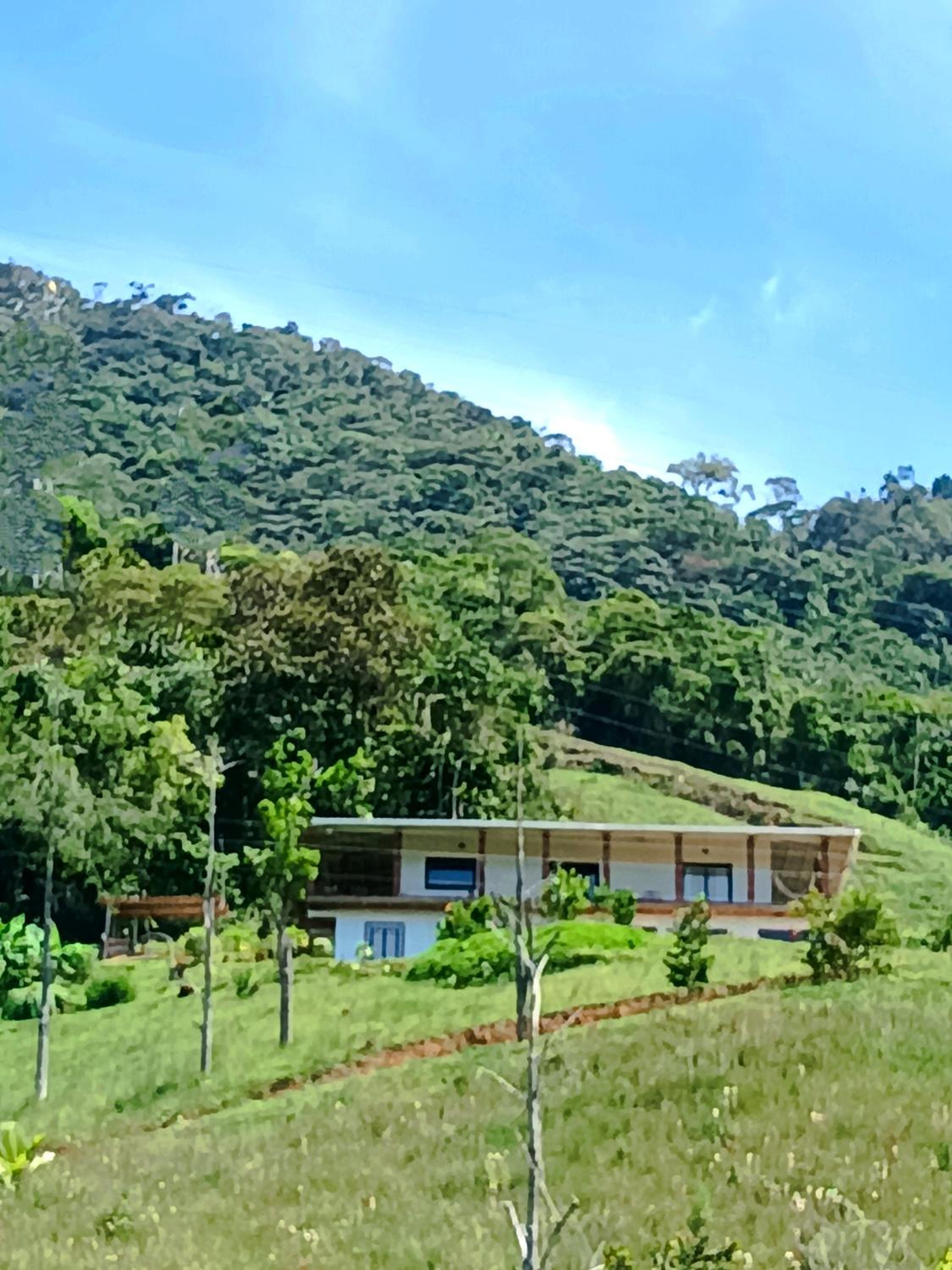 Bosque Místico