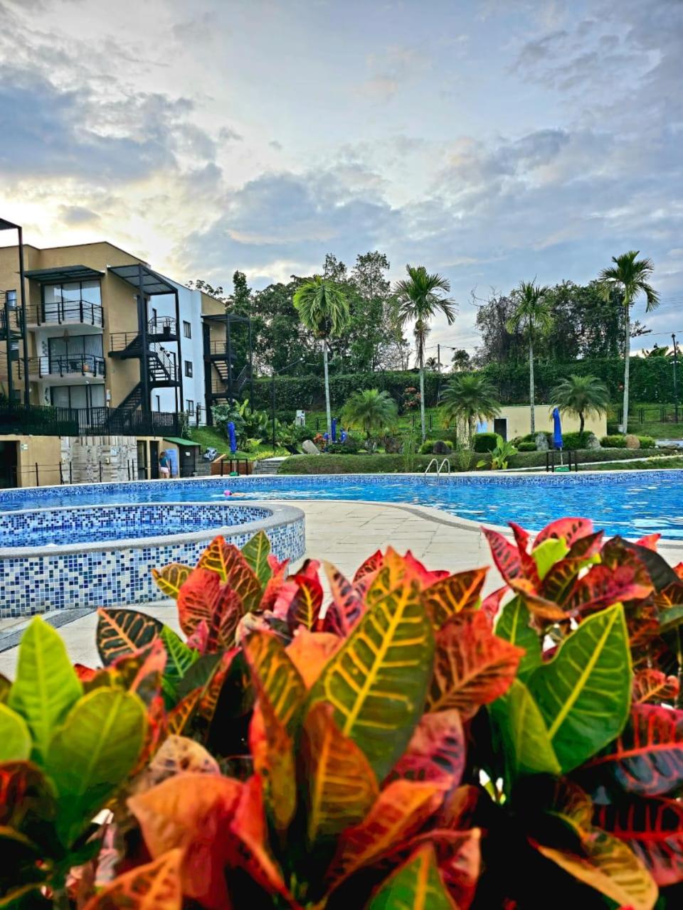 Apartamentos PRIVADOS 2 - 3 Habitaciones 4 Piscinas, 3 Jacuzzi, Sauna Cerca Aeropuerto Eden y Parque del Cafe por Molca Travel