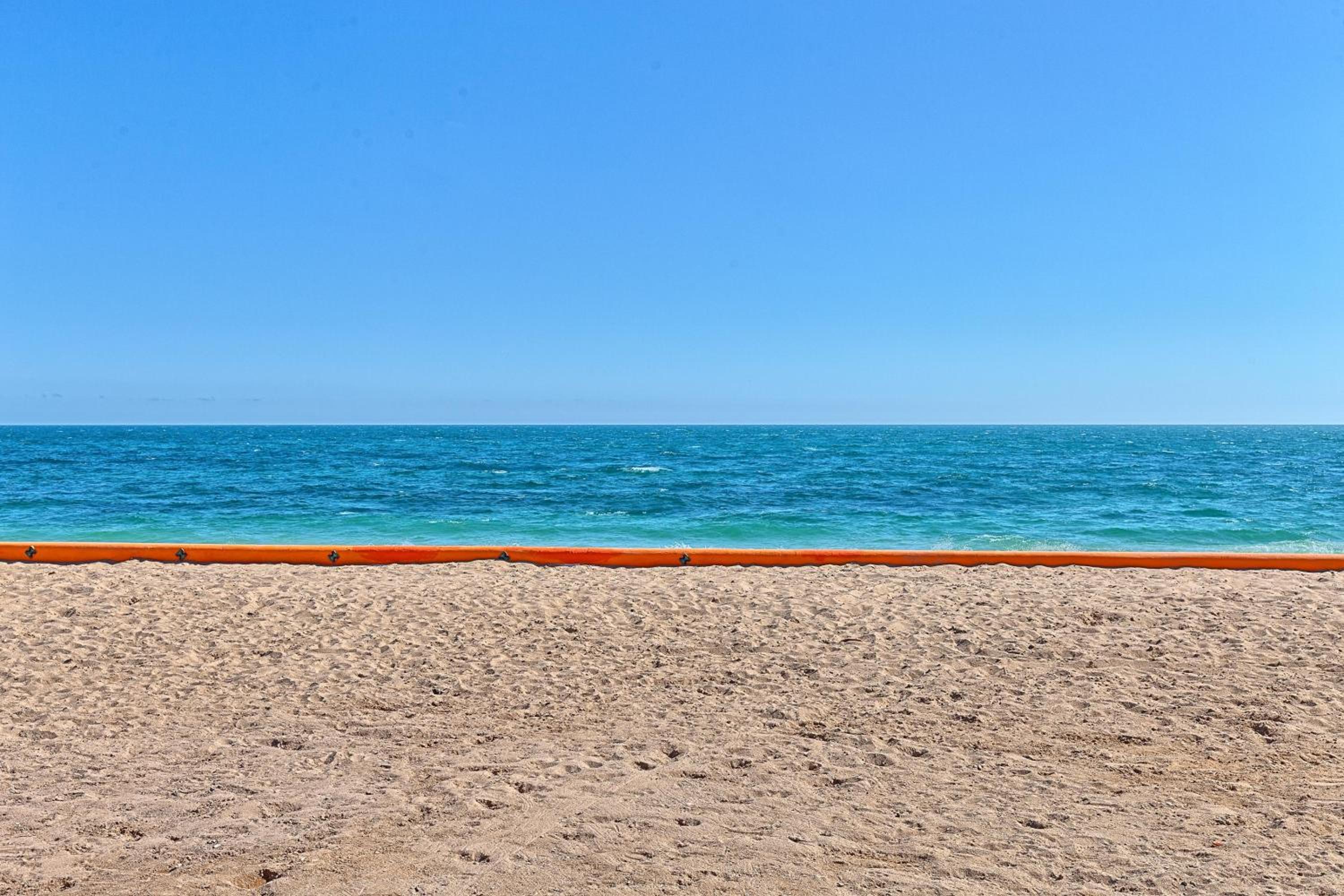 La Gaviota