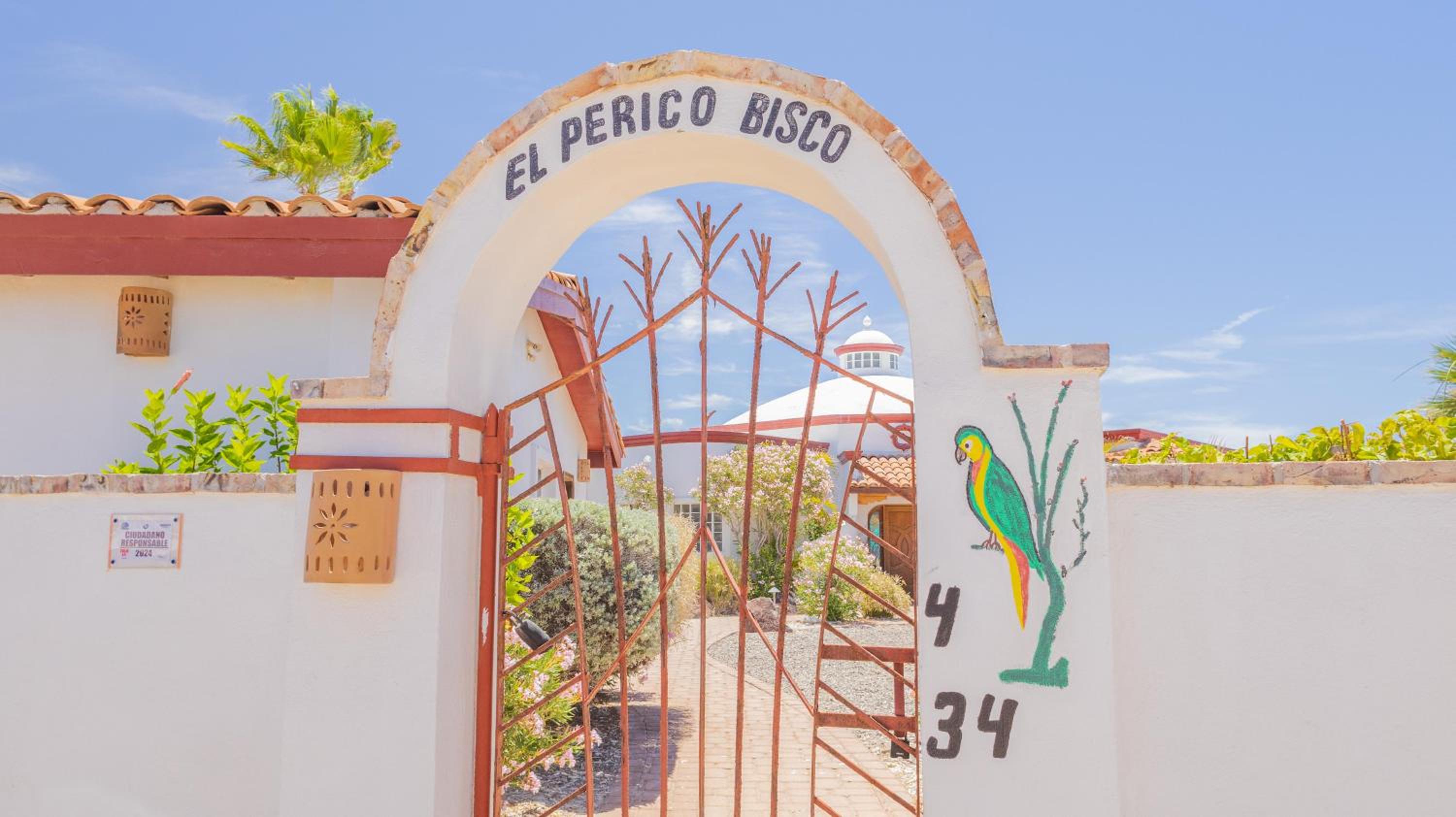 El Perico Bizco