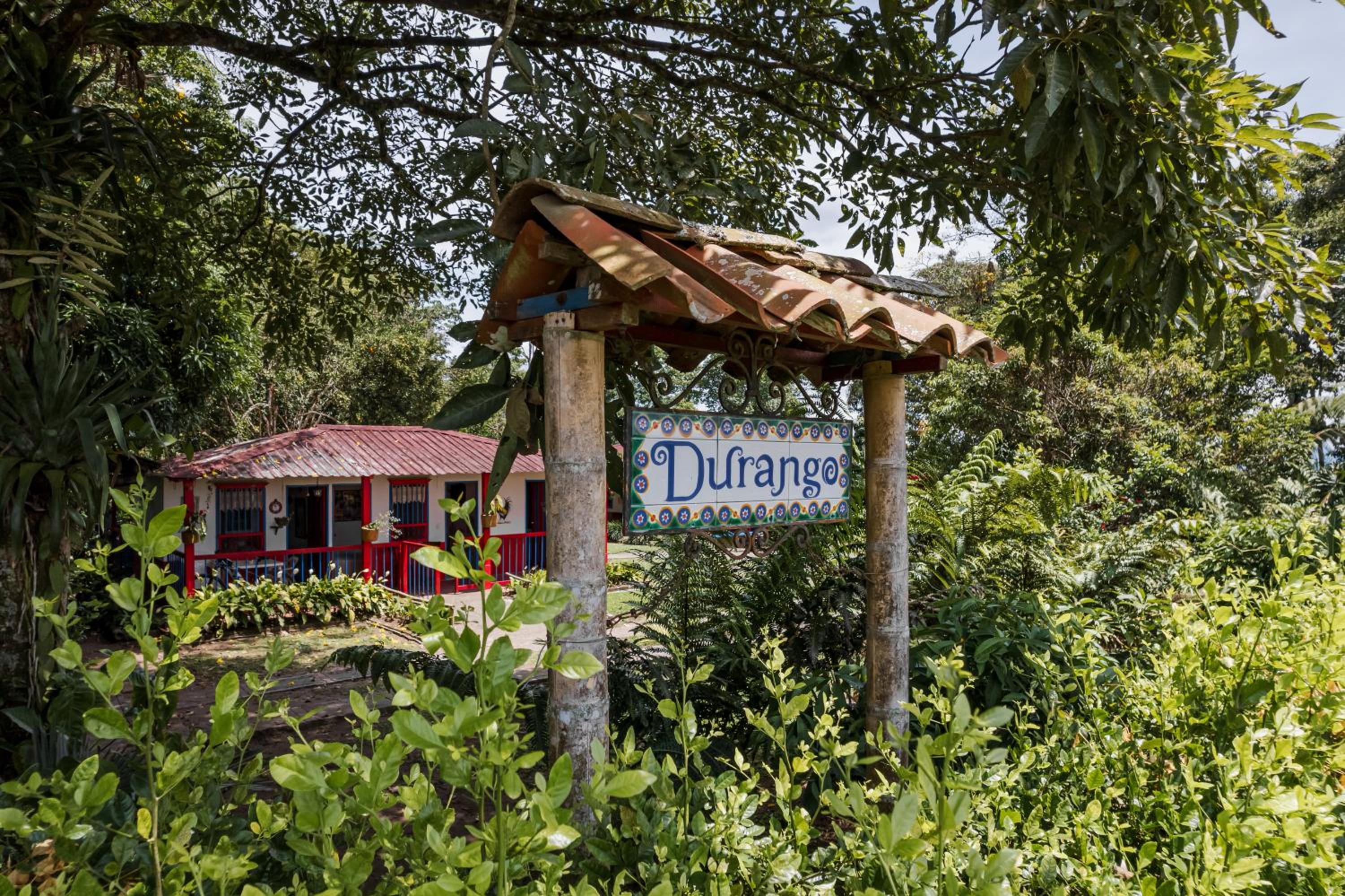 Finca Durango Circasia