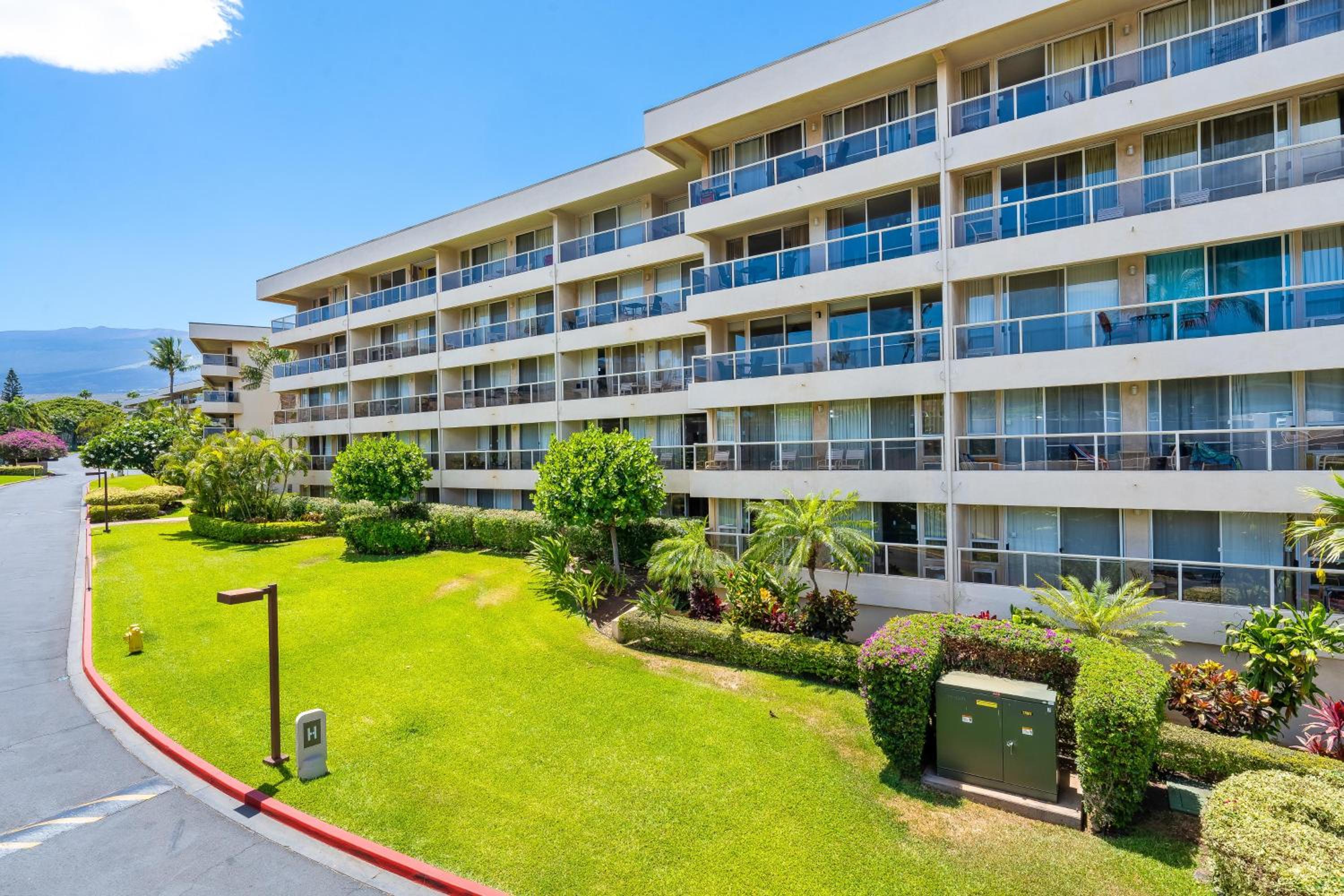 Maui Banyan P301 · MB P301 Remodeled 2BD Condo Across Beach Pool