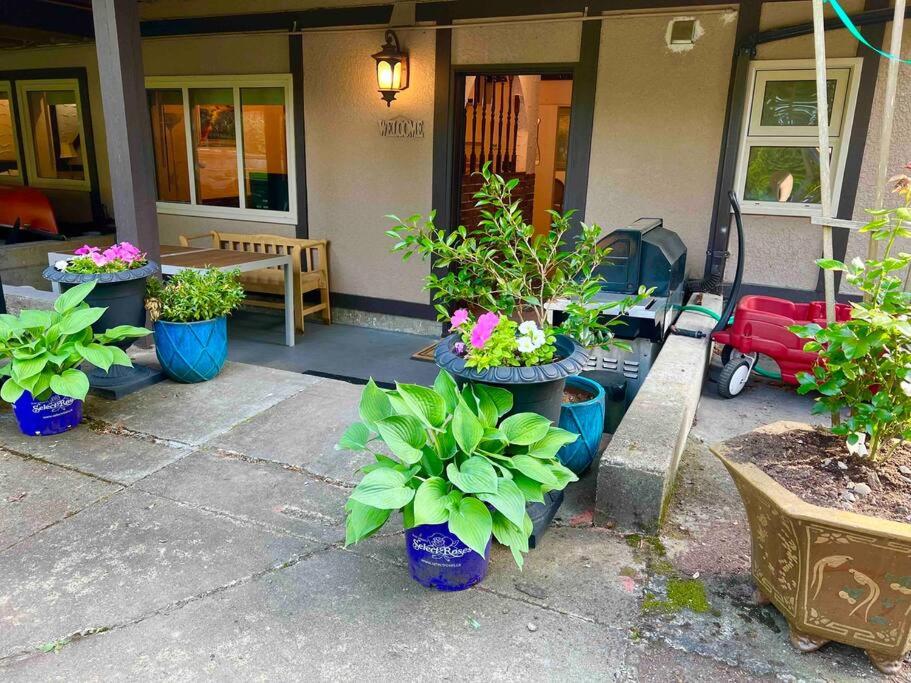 Bright Spacious 3 BR Garden Suite, 4 Queen beds, Fully equipped, Highly recommended by 229 happy groups