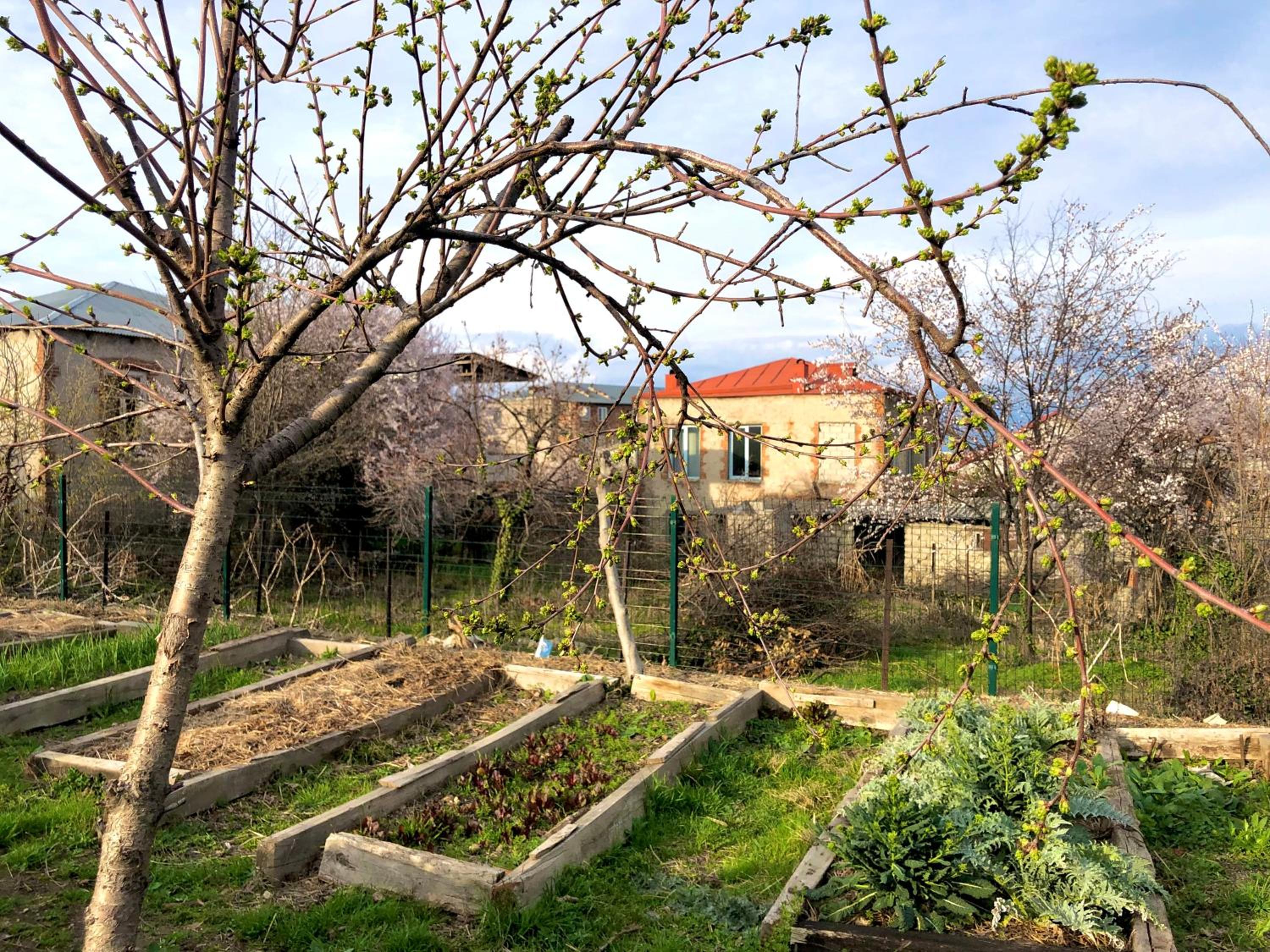 Lokokina Guesthouse