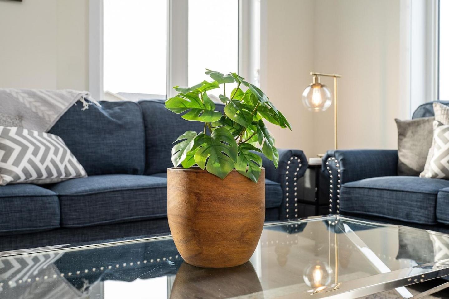 Cambridge Vacations - Cozy King 2br Near Cambridge Butterfly, Mill Race - Property Image 2