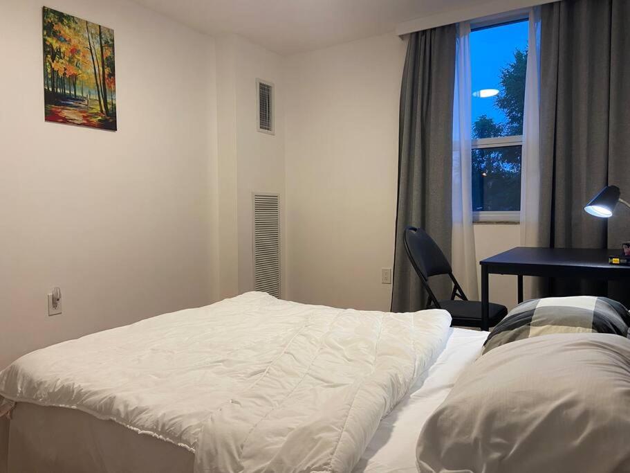 Comfort Space in Scarborough