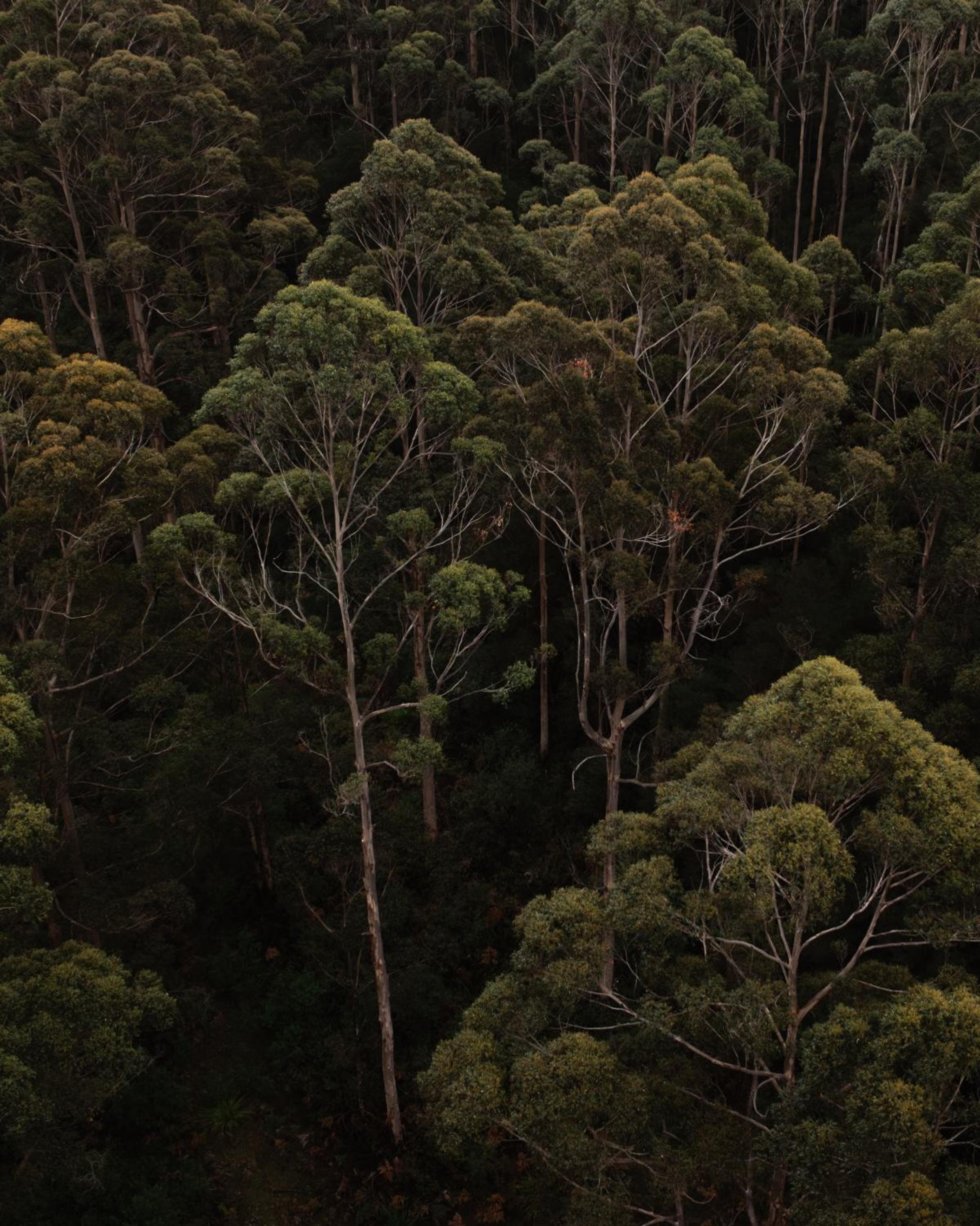 Love - Denmark WA