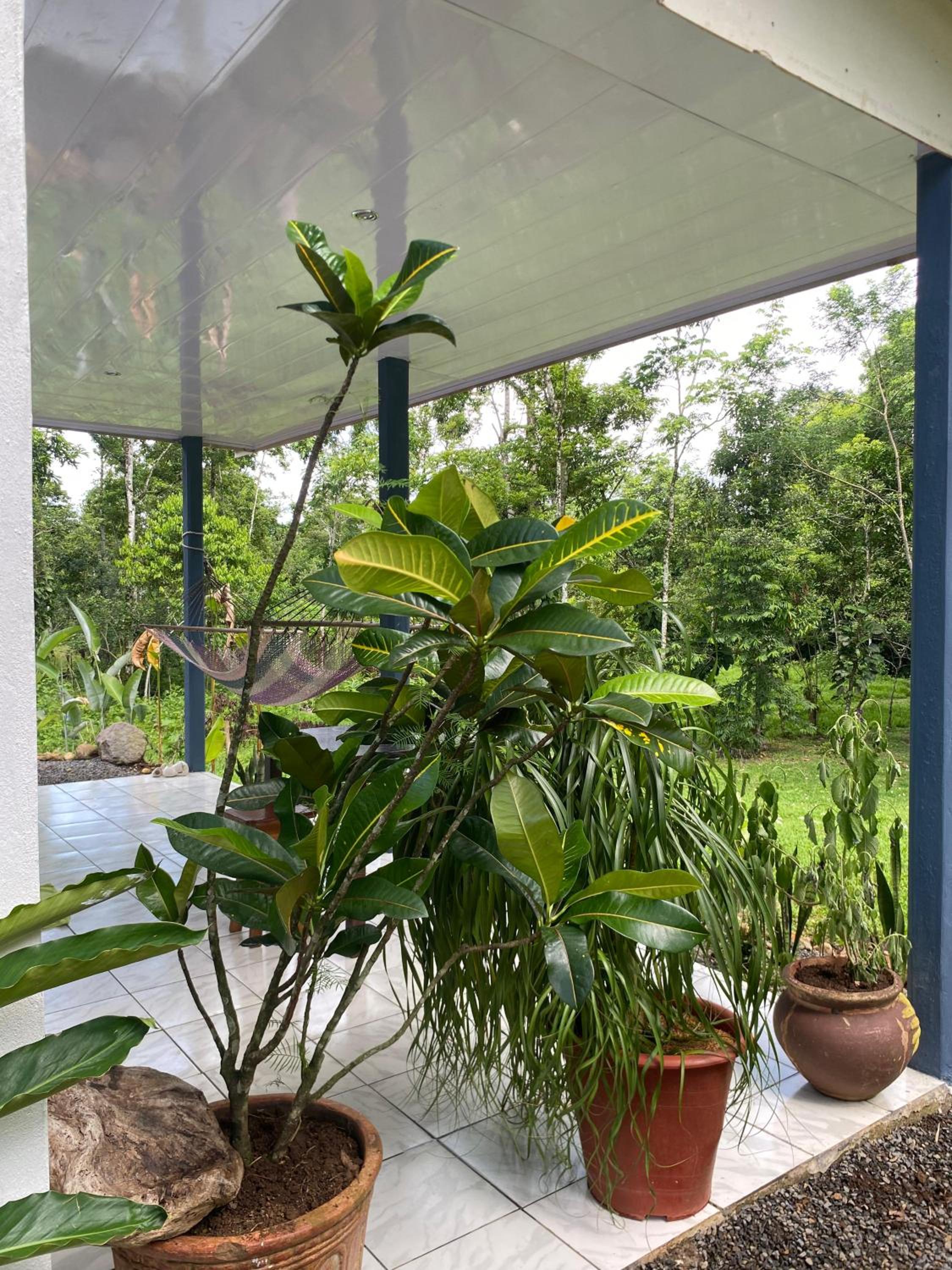 Pura Vida Granja Agua Azul