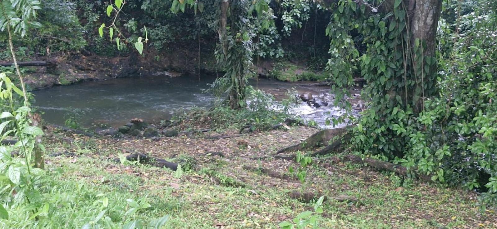 Pura Vida Granja Agua Azul