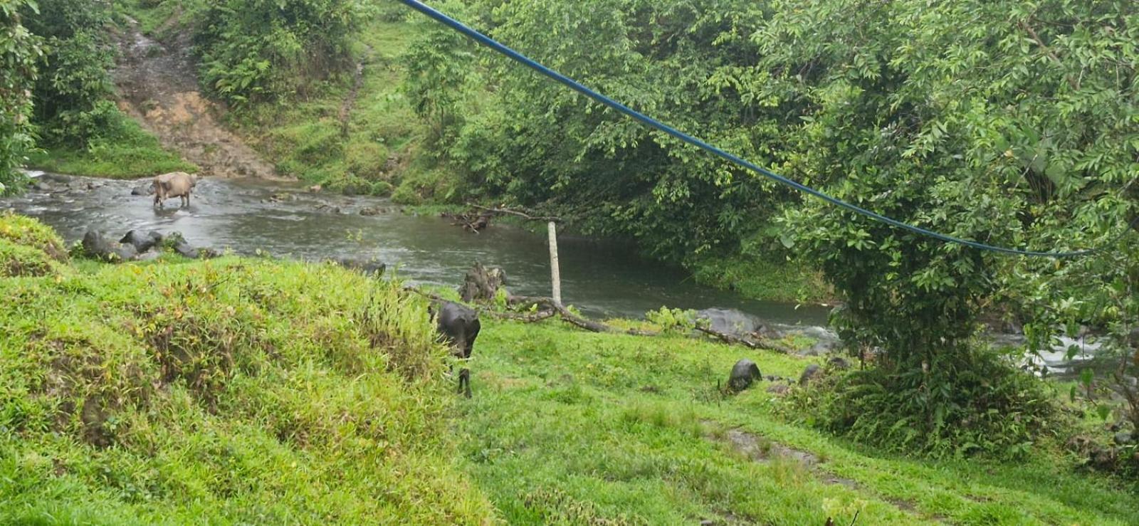 Pura Vida Granja Agua Azul