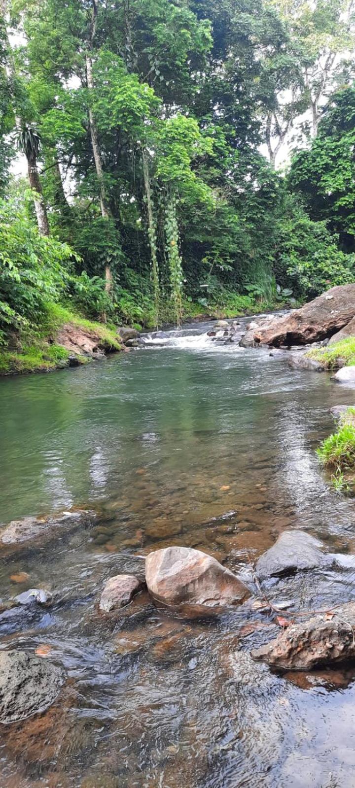 Pura Vida Granja Agua Azul