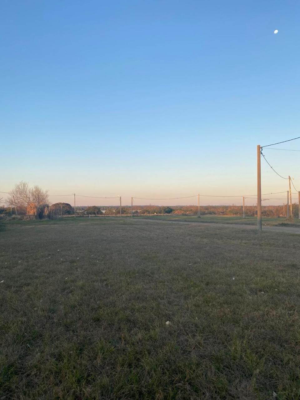 La Lechuza