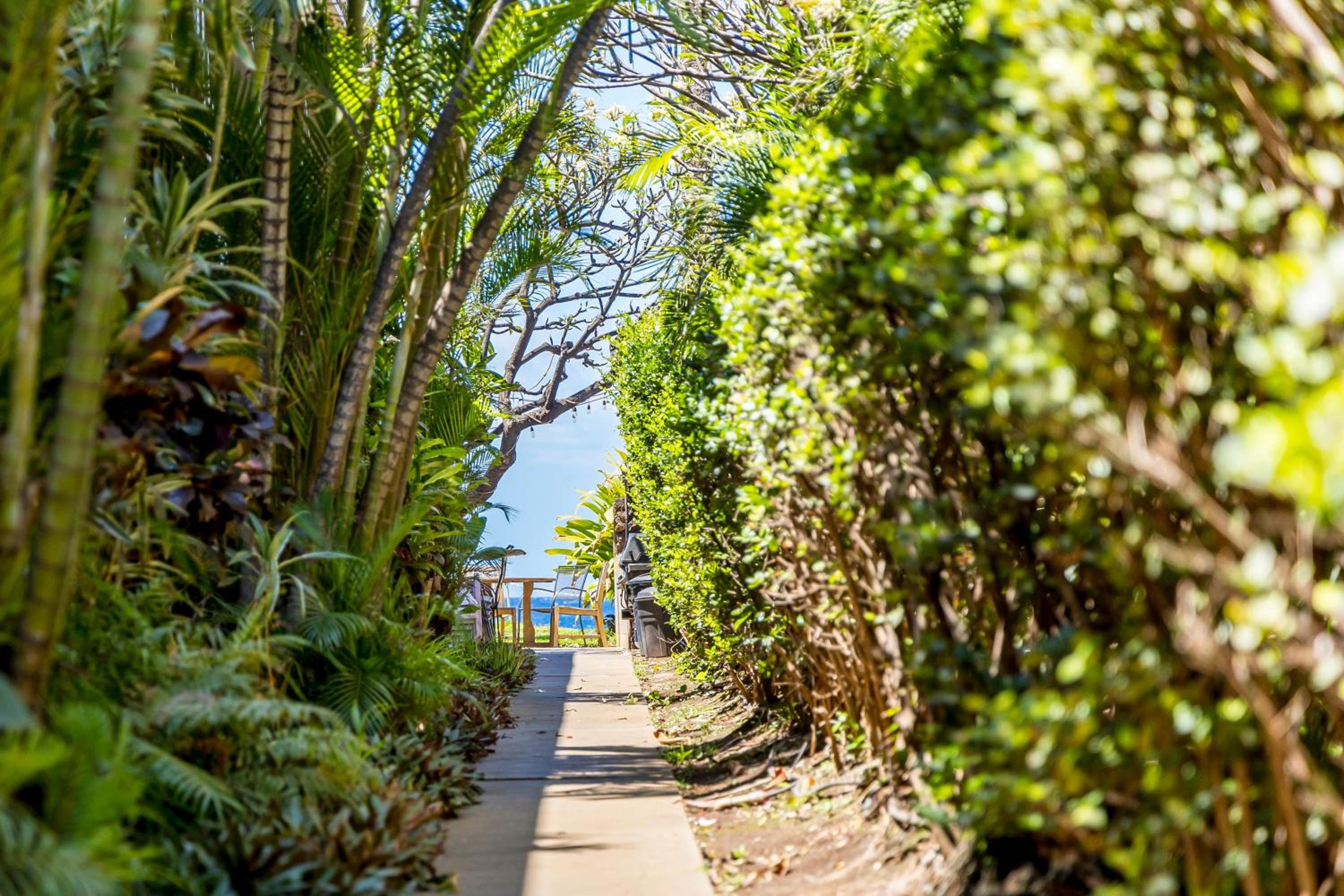 Kihei Kai Oceanfront Condos