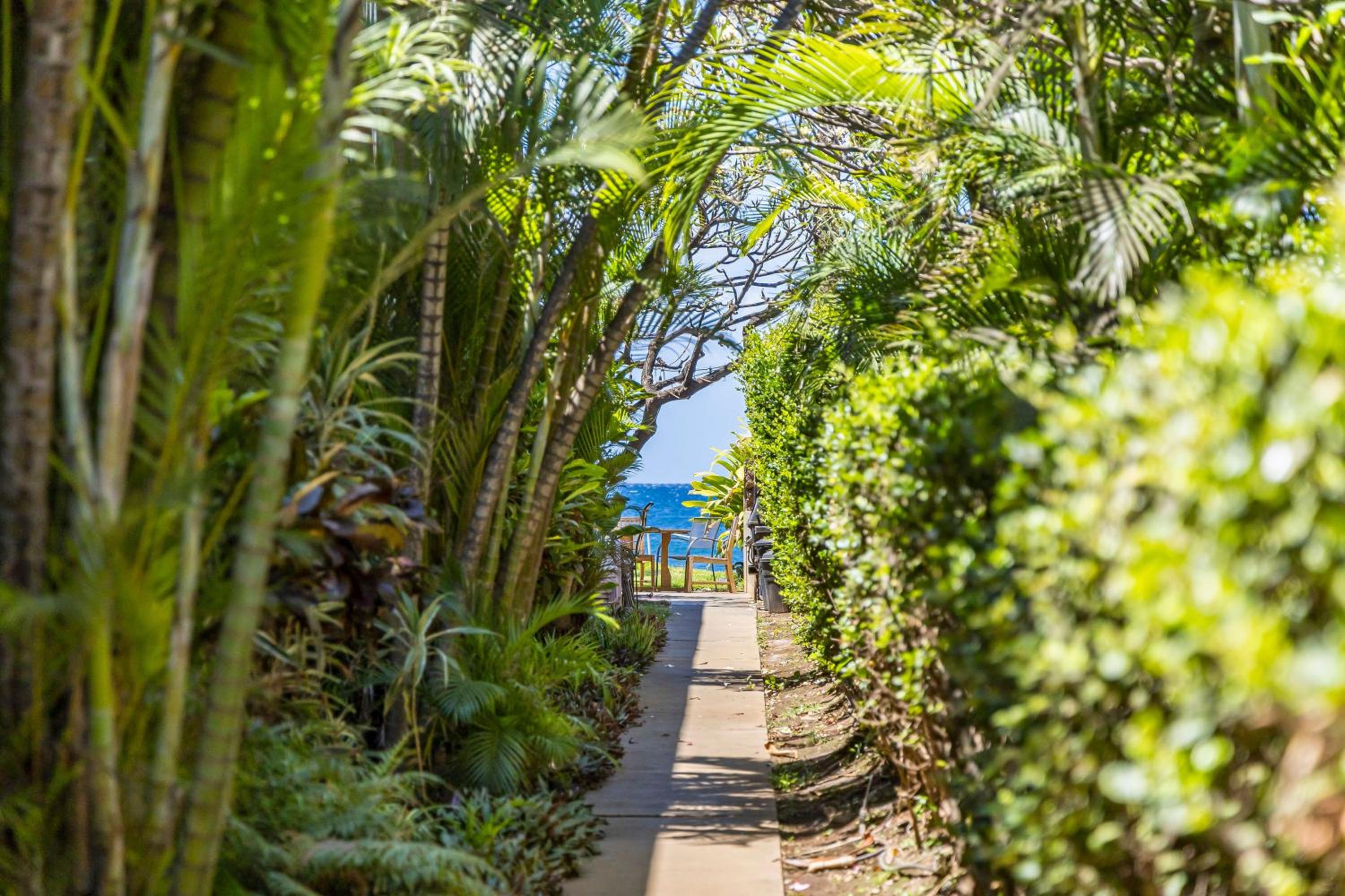 Kihei Kai Oceanfront Condos