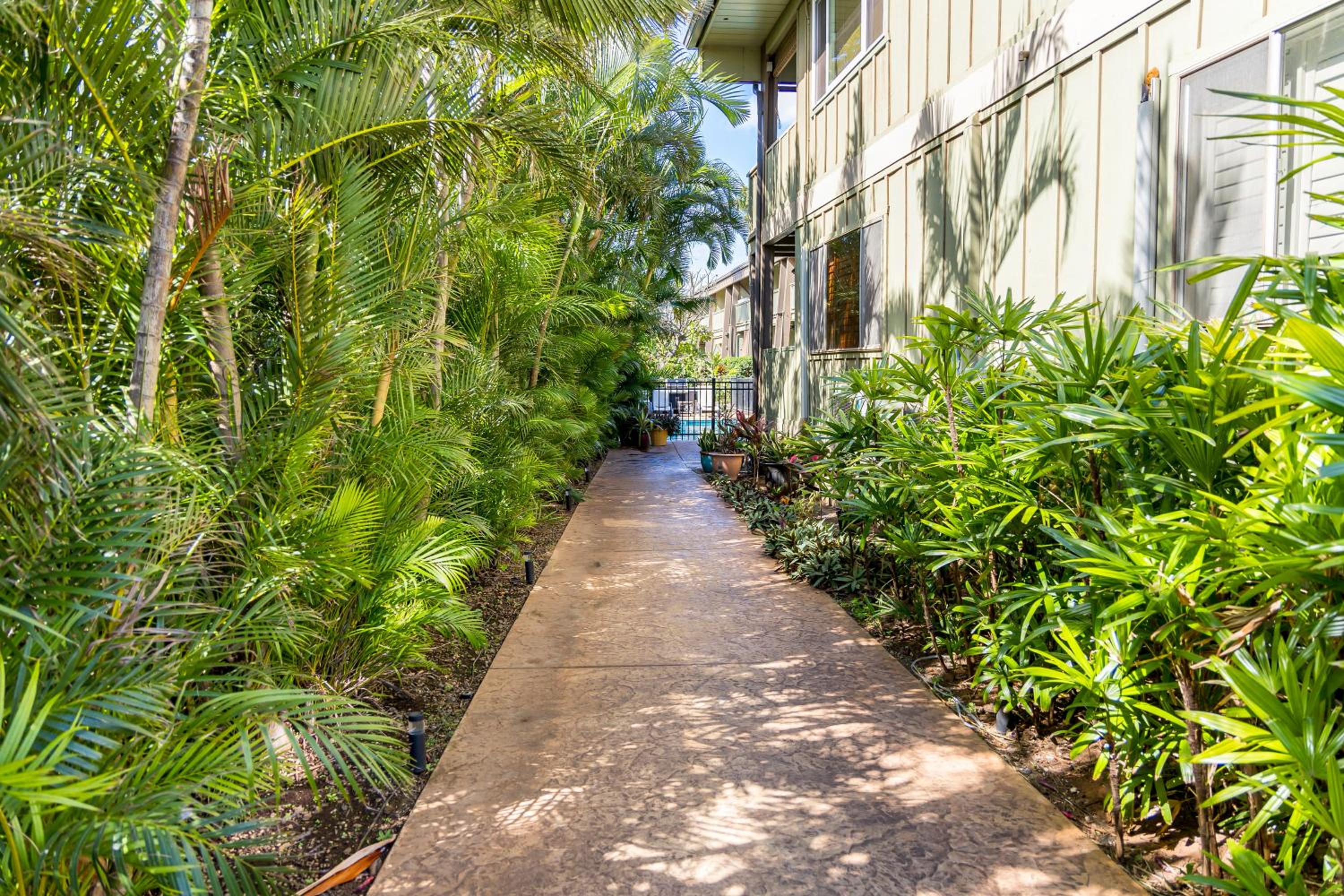 Kihei Kai Oceanfront Condos