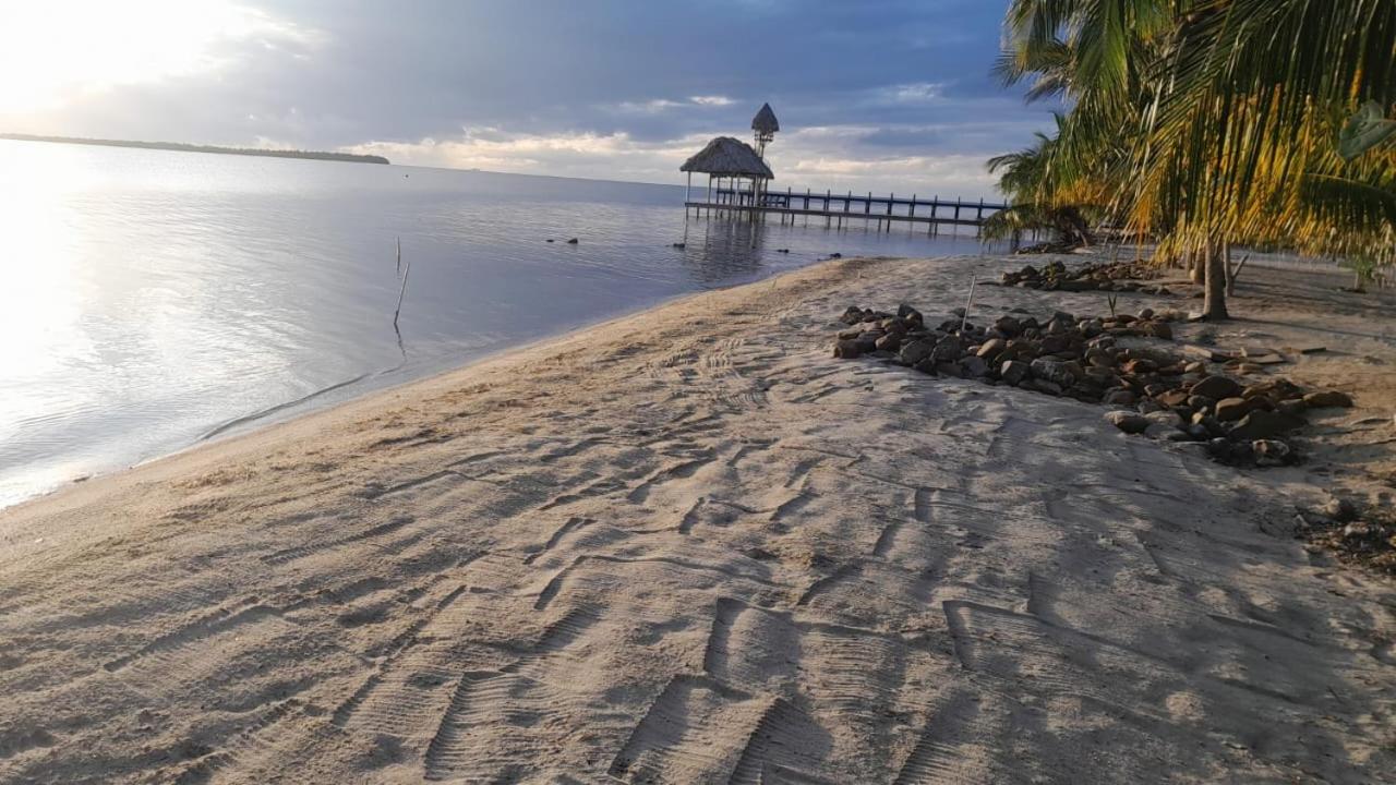 Palm & Pelican