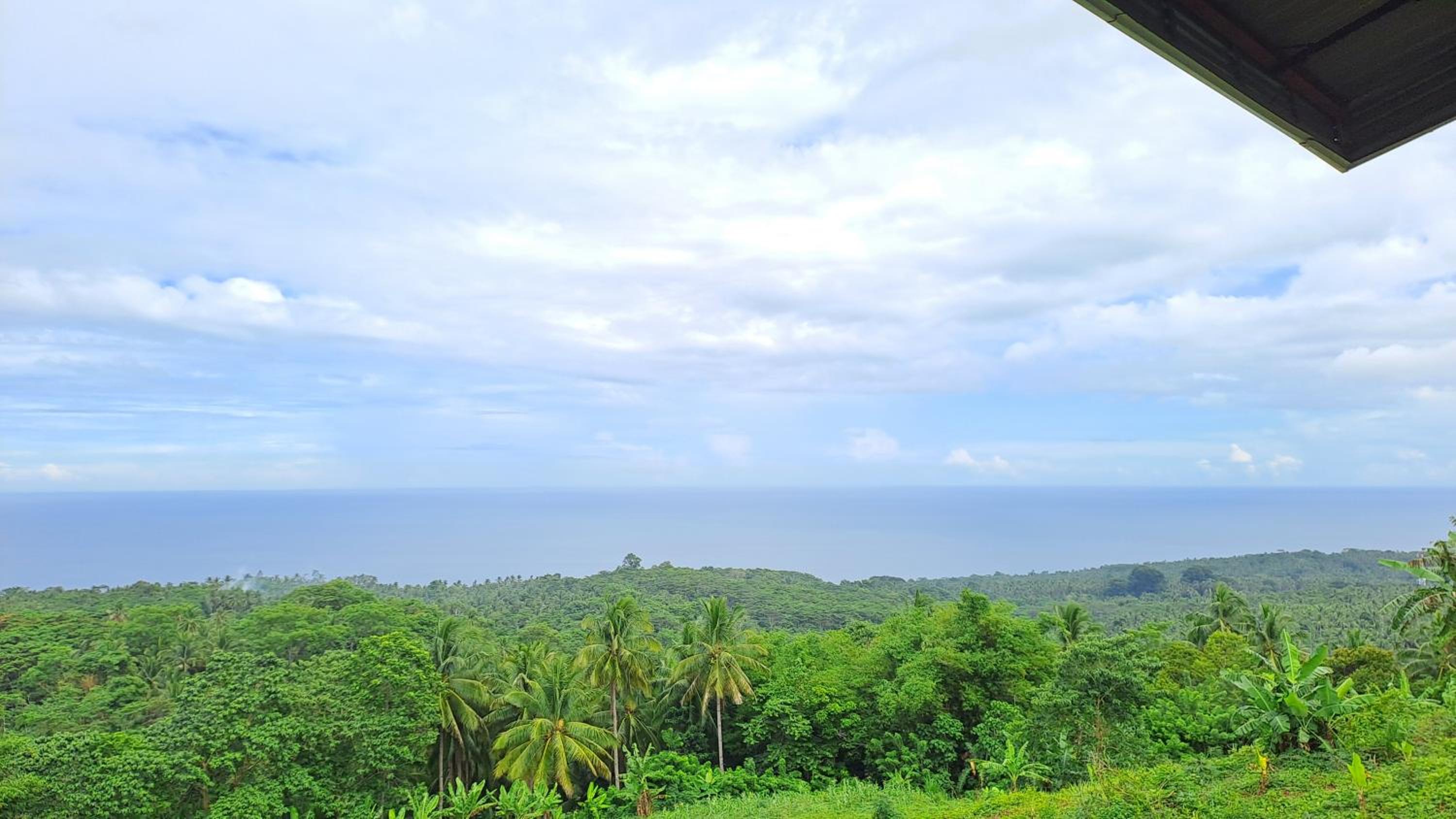 Doco & Taze Guesthouse view 4