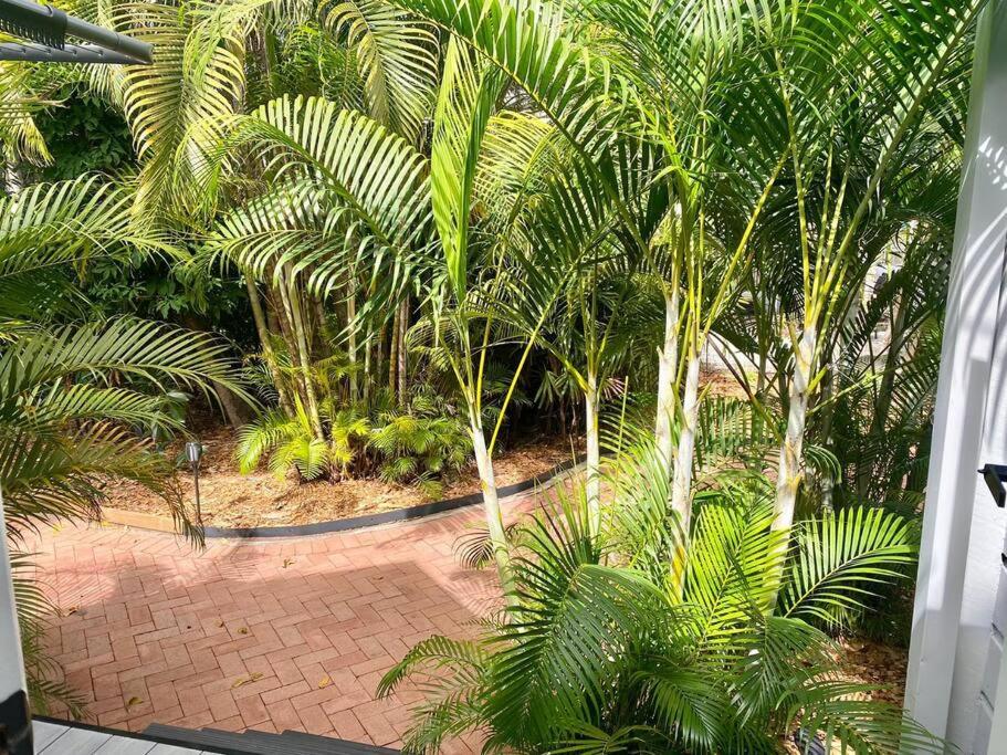 Tropical Oasis on Perkins Street