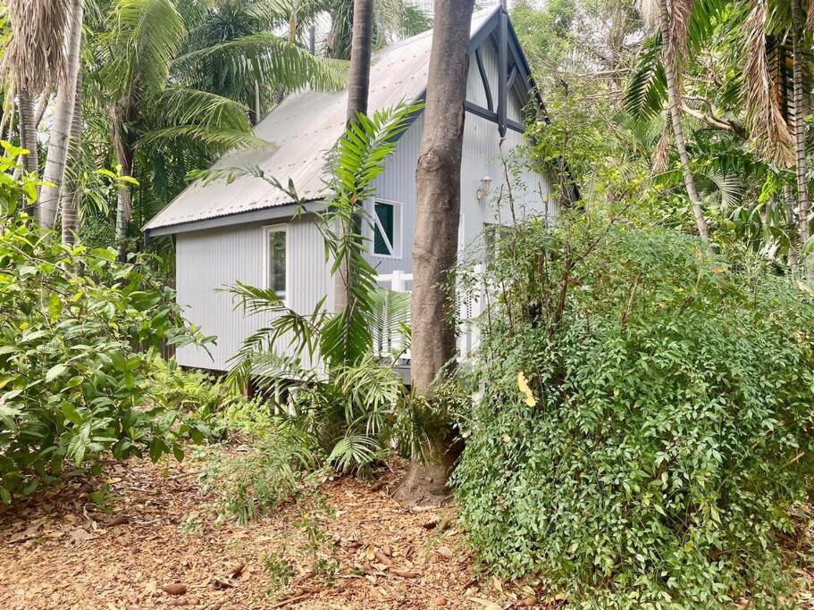 Tropical Oasis on Perkins Street