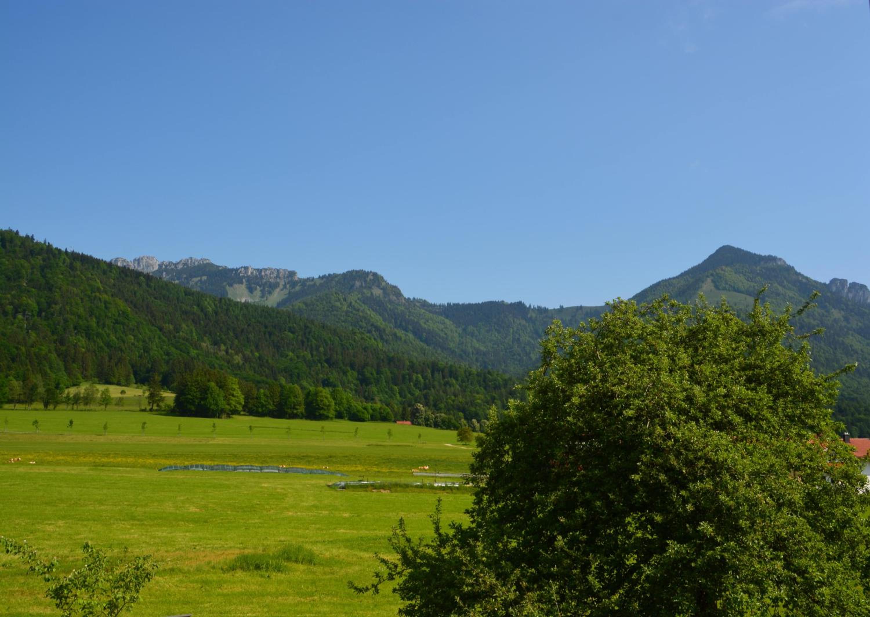 Pilzhof