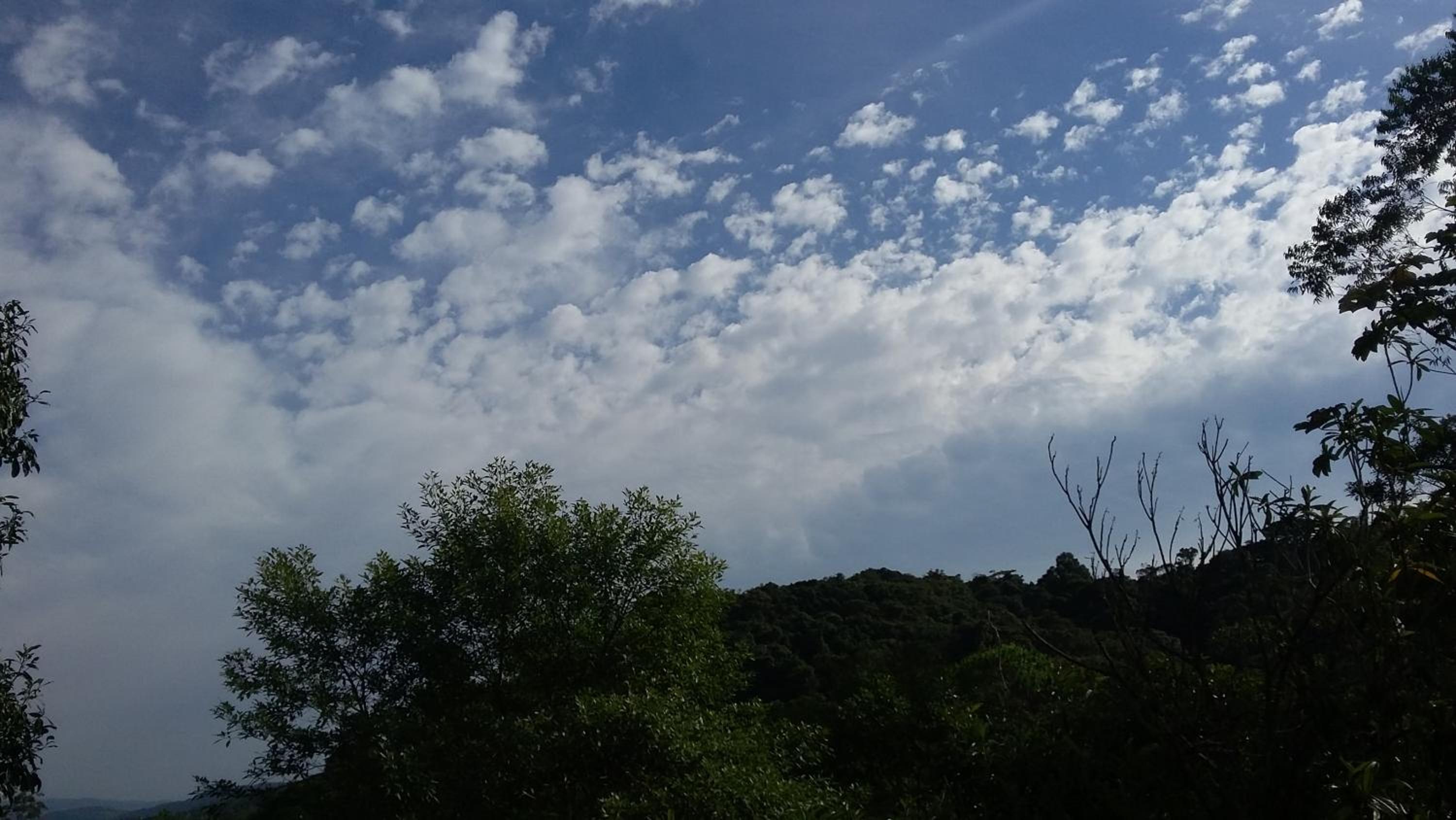 Refúgio em meio à mata Atlântica