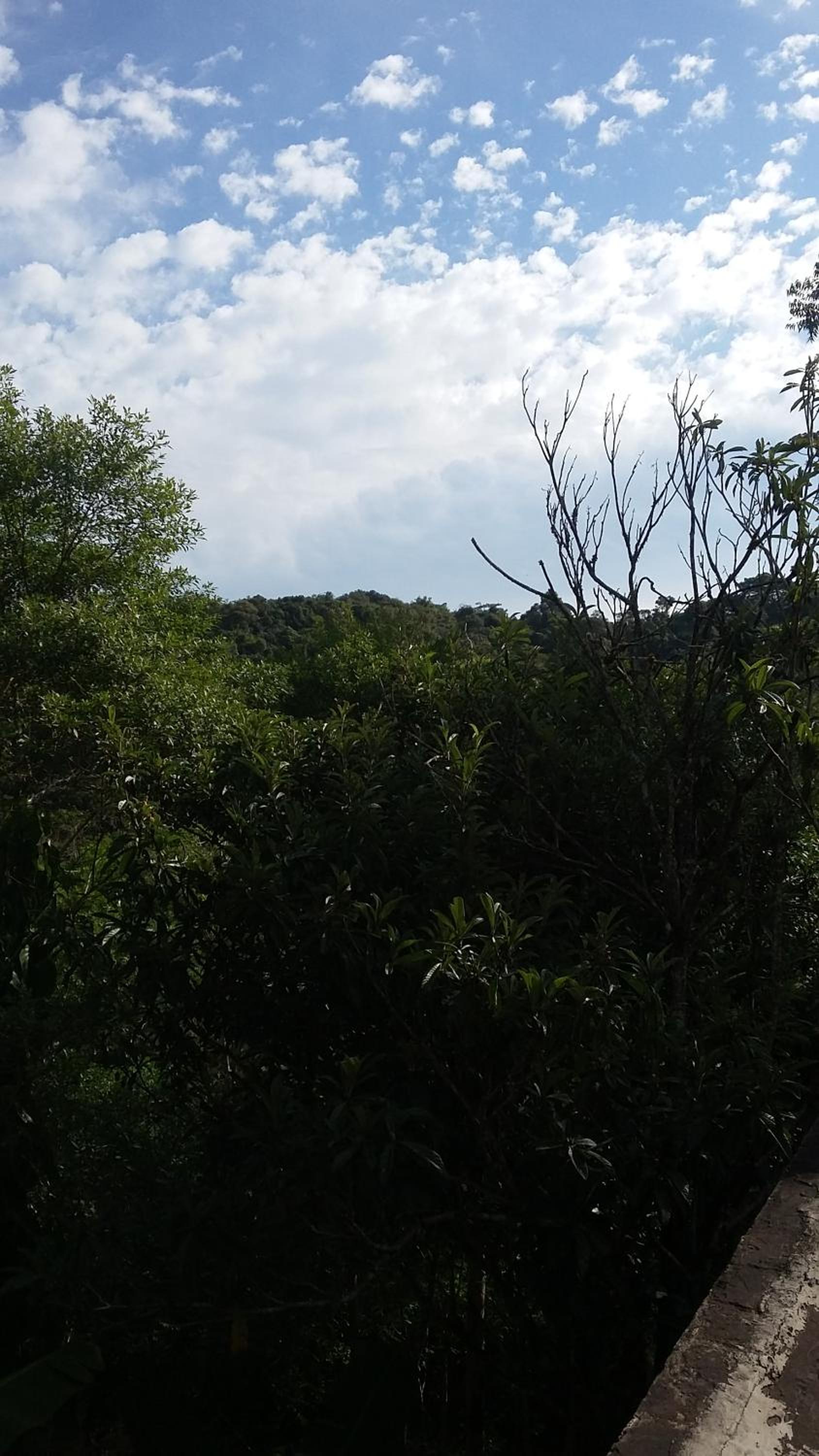 Refúgio em meio à mata Atlântica